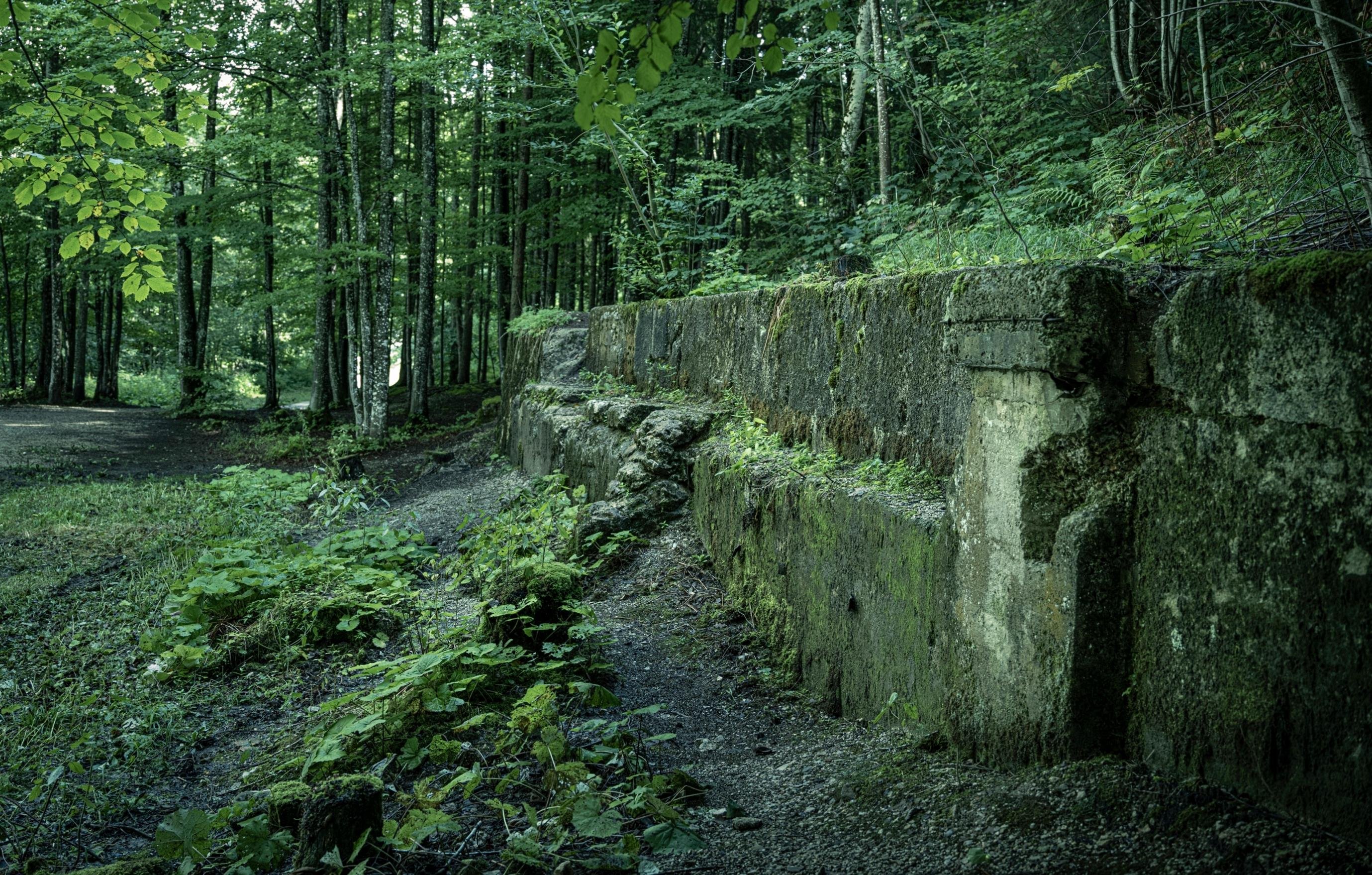 Berchtesgaden: Private Eagle's Nest & Obersalzberg WWII Tour