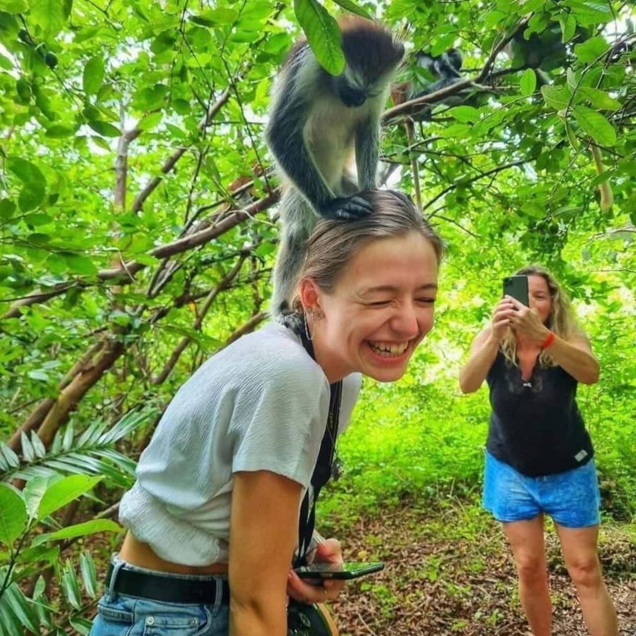 Private Jozani Forest Tour with Local Guide
