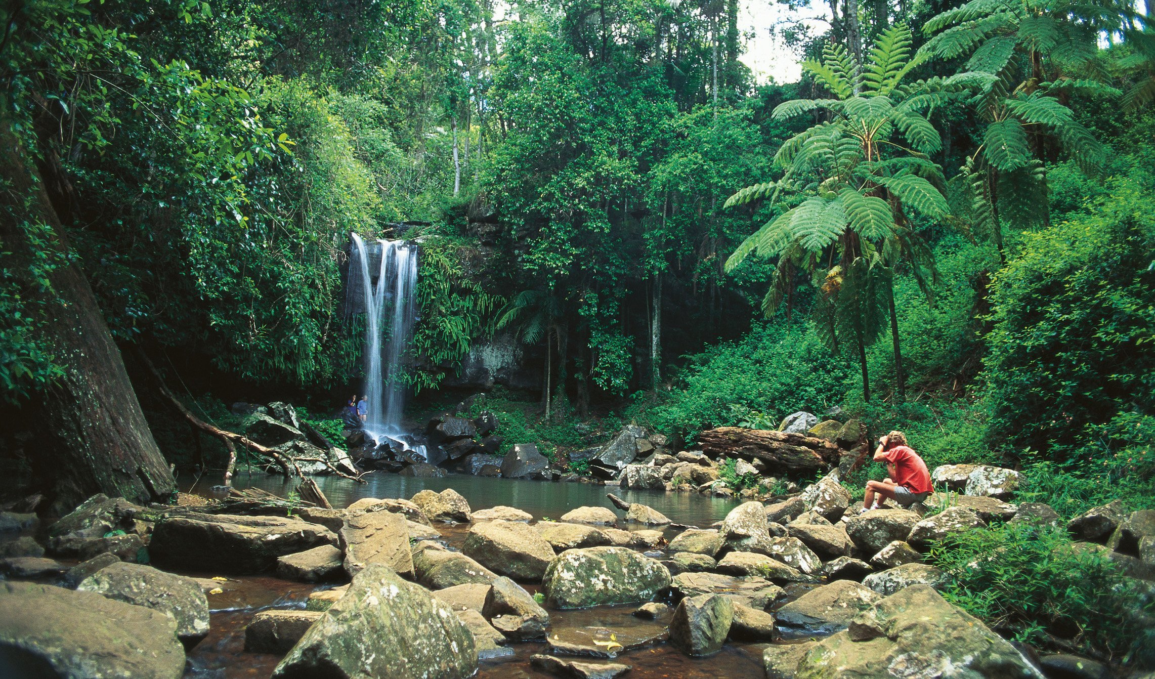 Tamborine Mountain Hop-On Hop-Off Day Pass from Brisbane