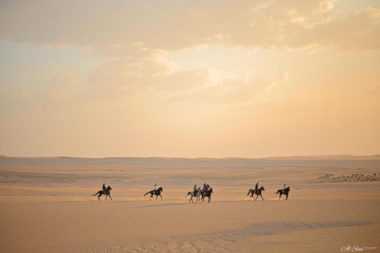 Fayoum Desert Horseback Adventure to Magic Lake