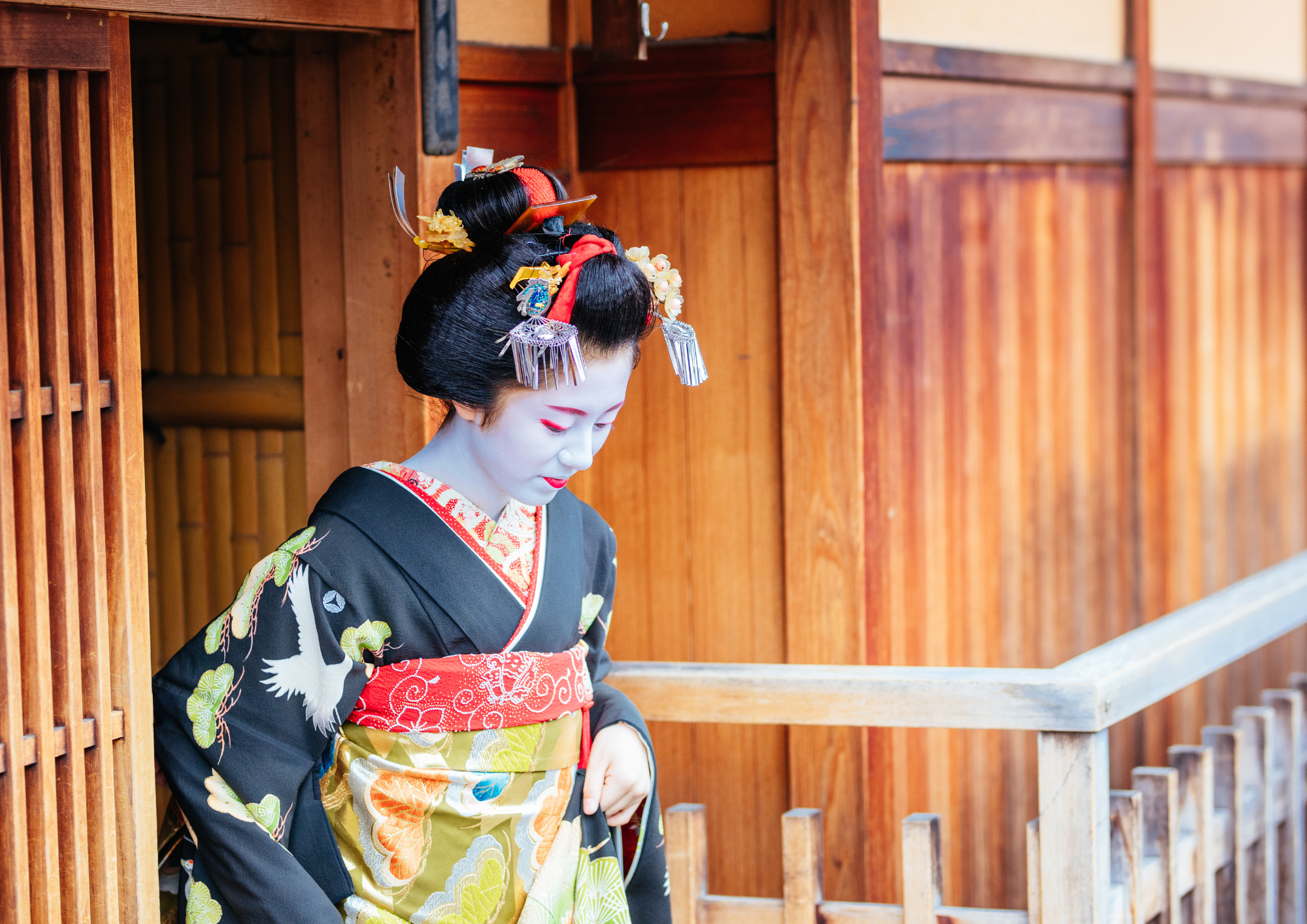 Tour a pie por Gion, espectáculo de aprendiz de geisha y juego tradicional de abanico