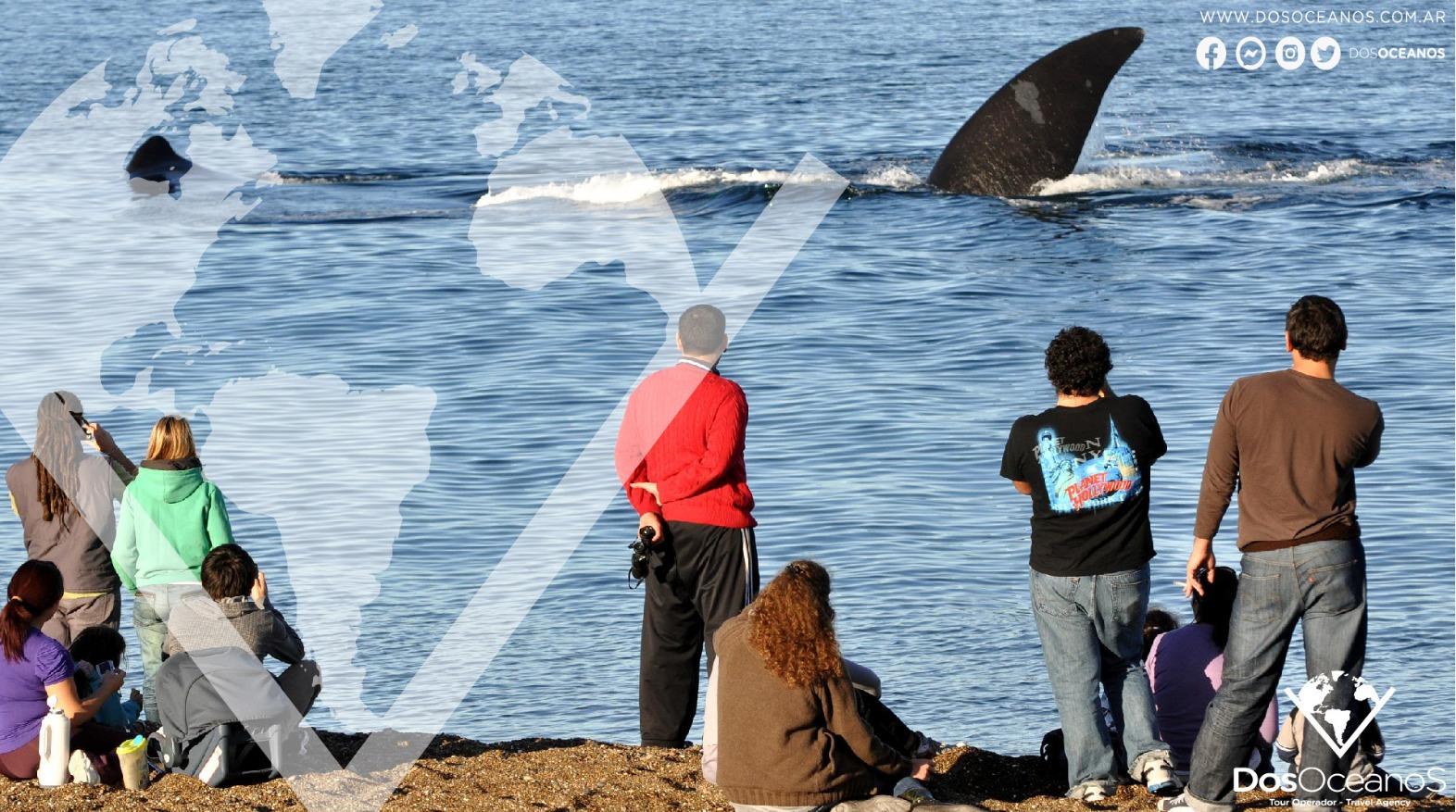 El Doradillo Shore-Based Whale Watching Experience