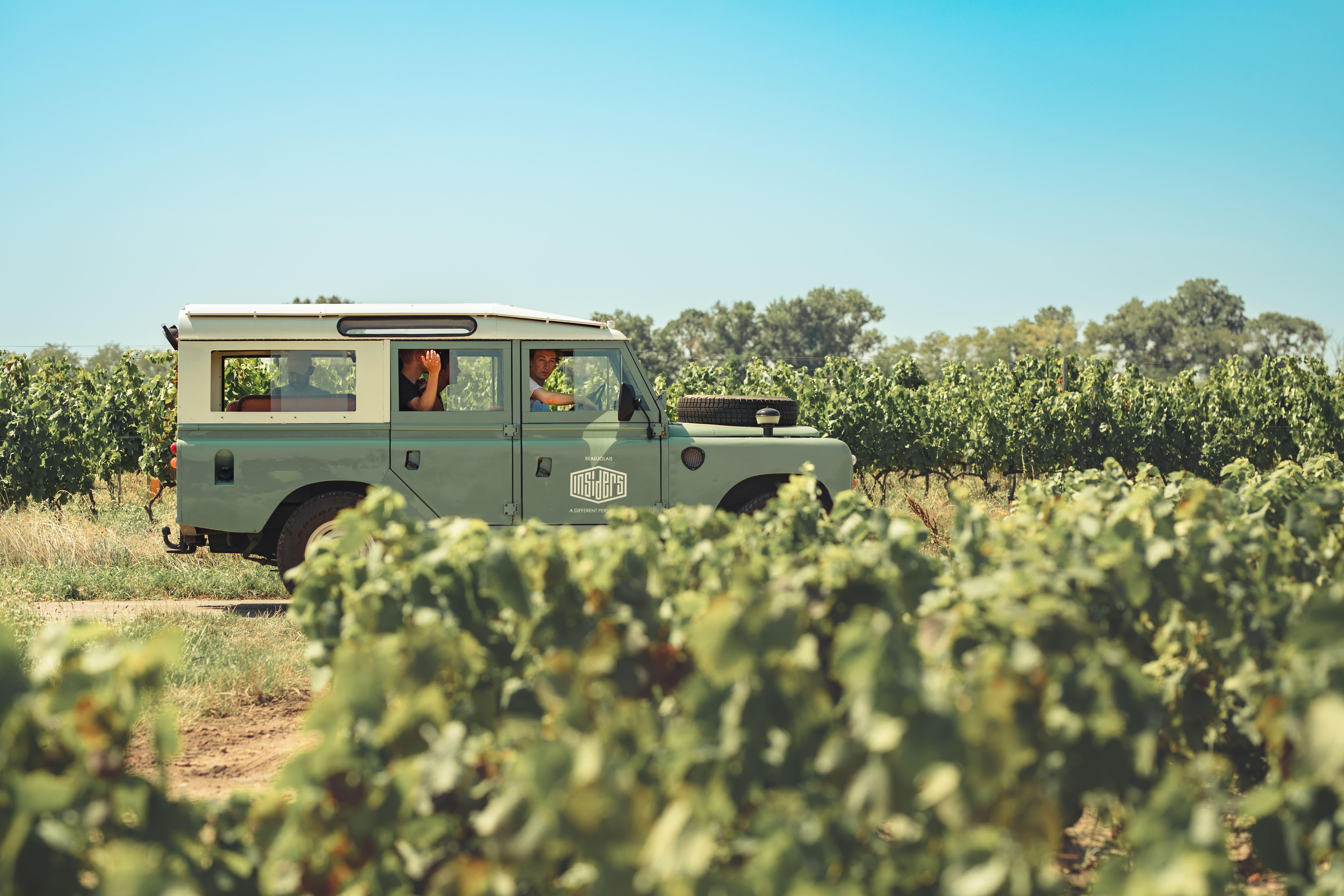 Southern Burgundy Wine Discovery by Vintage Defender