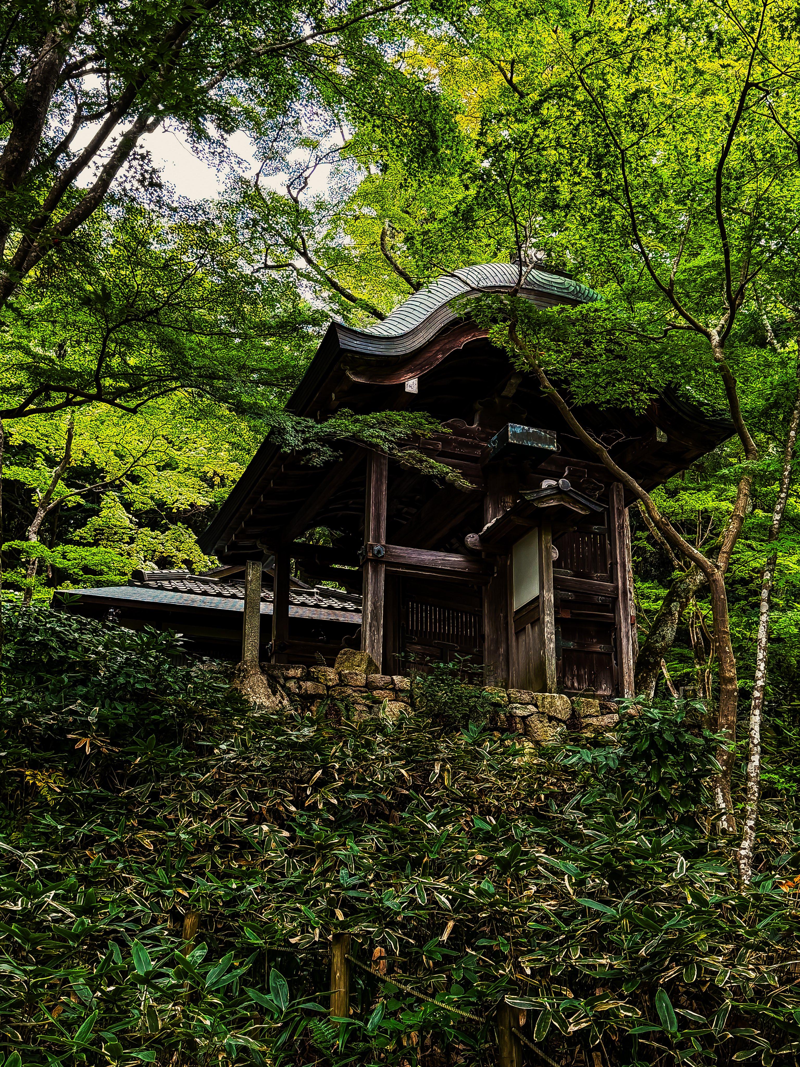 Hidden Japan: Arima Onsen & Mountain Escape from Osaka