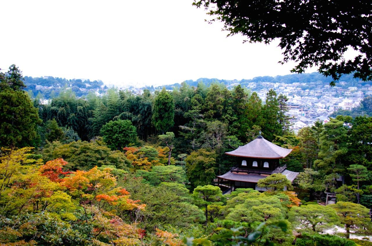 Private Kyoto Walking Tour: Samurai & Geisha Heritage