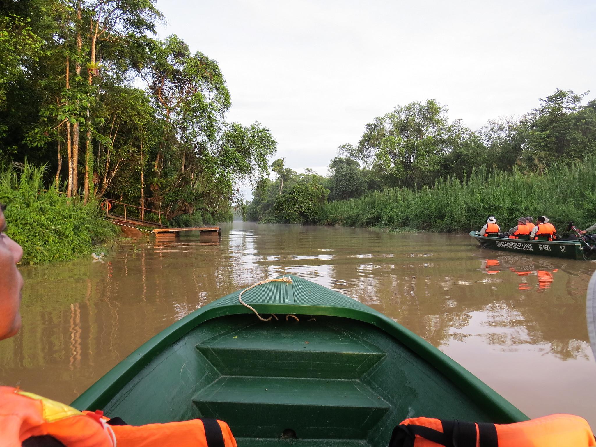 Sandakan: 3-Day Kinabatangan River Wildlife Safari