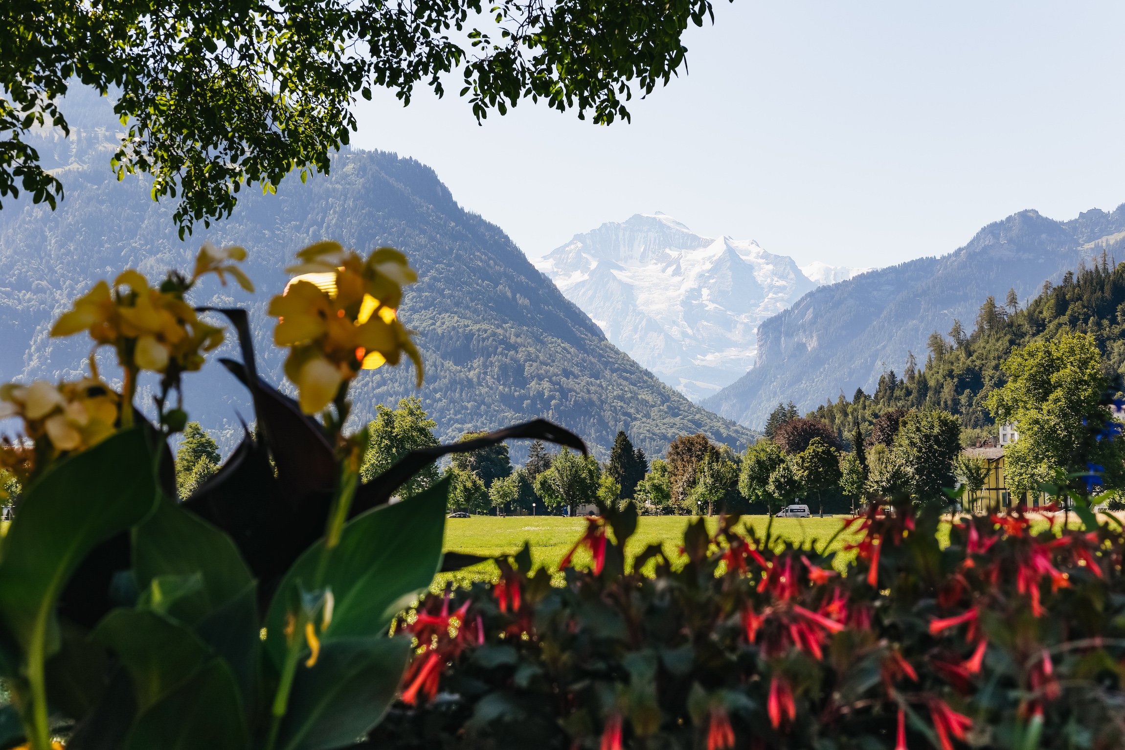 Jungfraujoch from Zurich day tour scenery — image 60