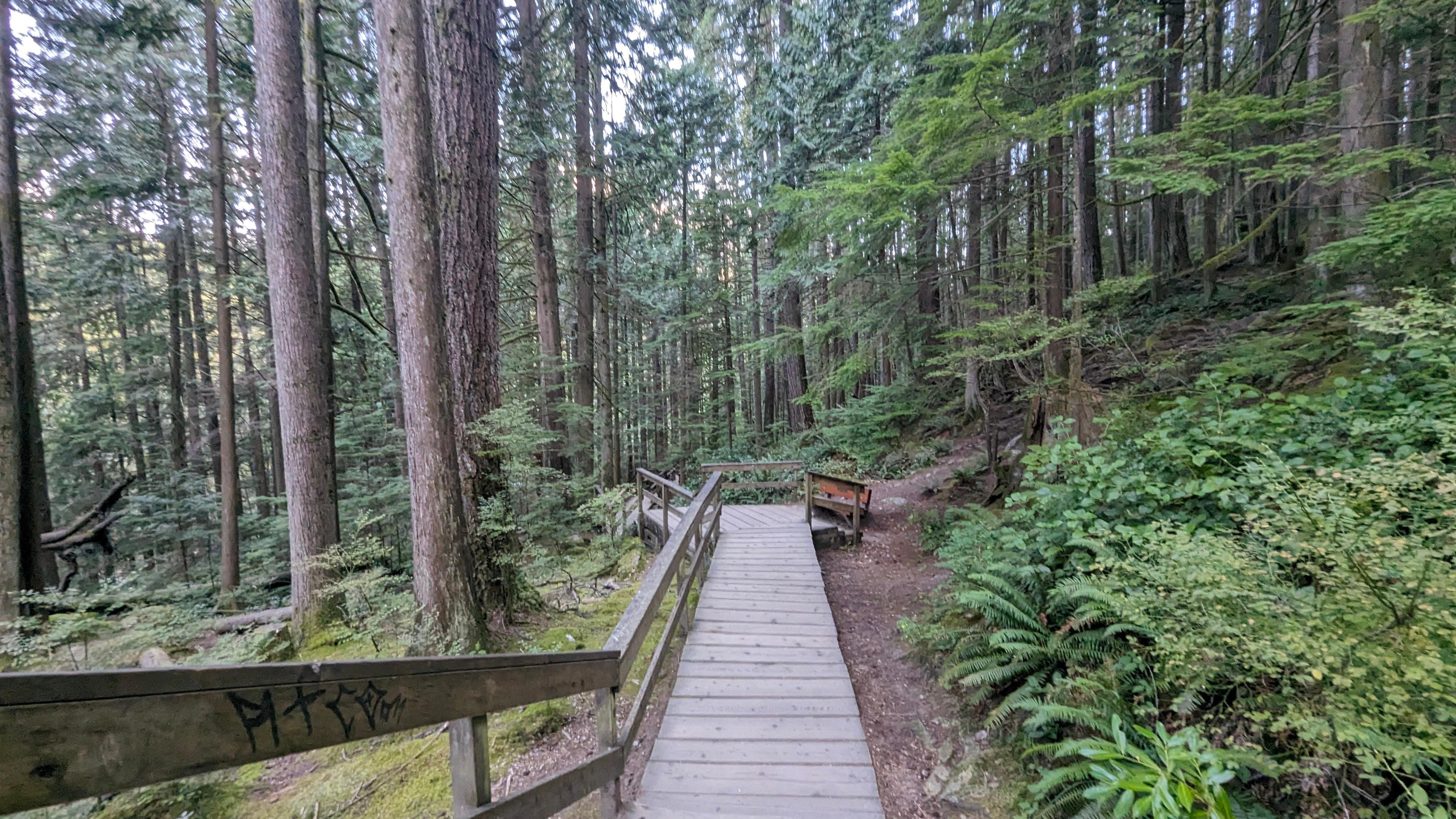 Capilano Canyon Halloween & Vancouver Twilight Private Tour