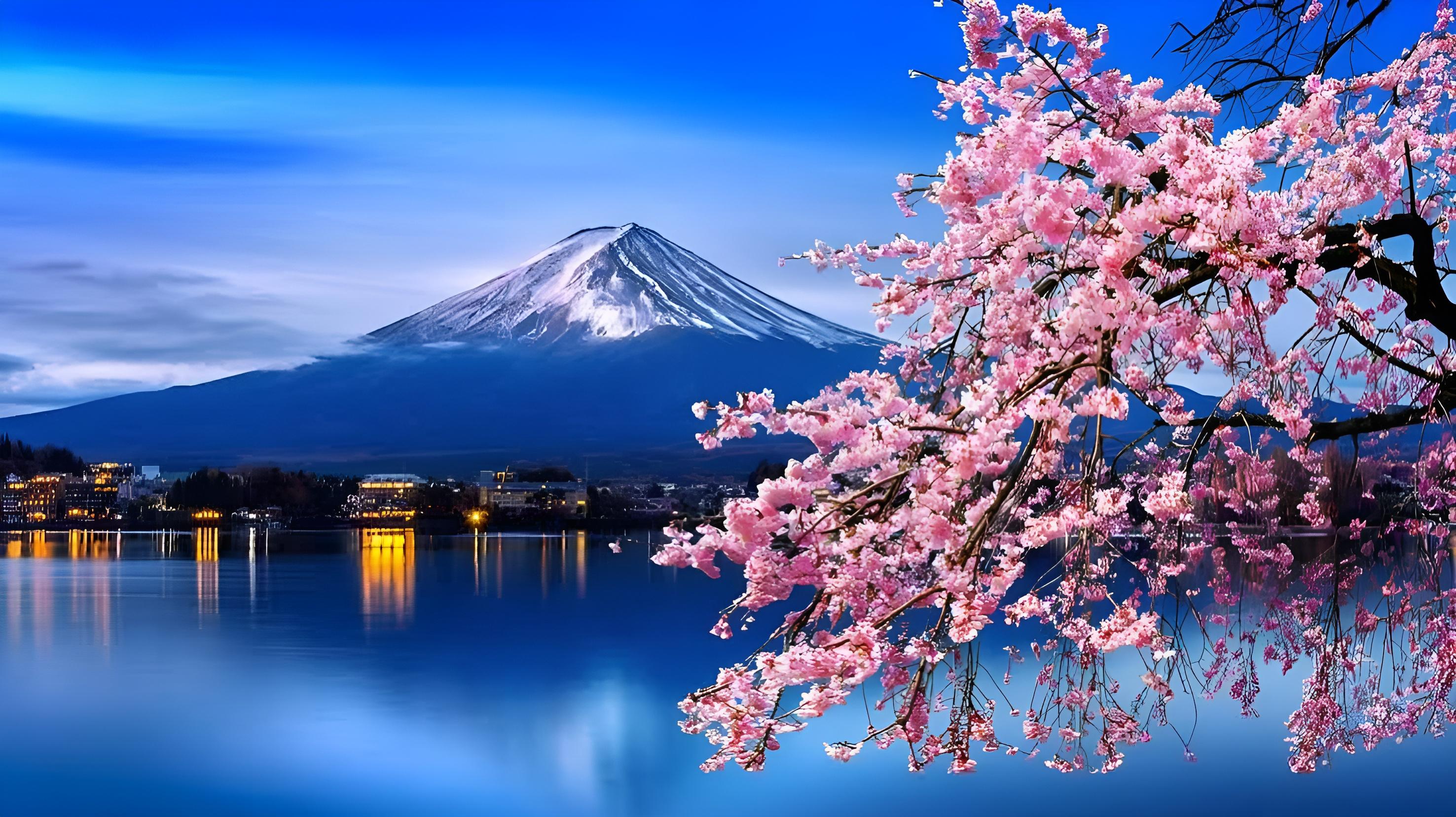 Tokyo: Private Full-Day Mount Fuji & Hakone Tour