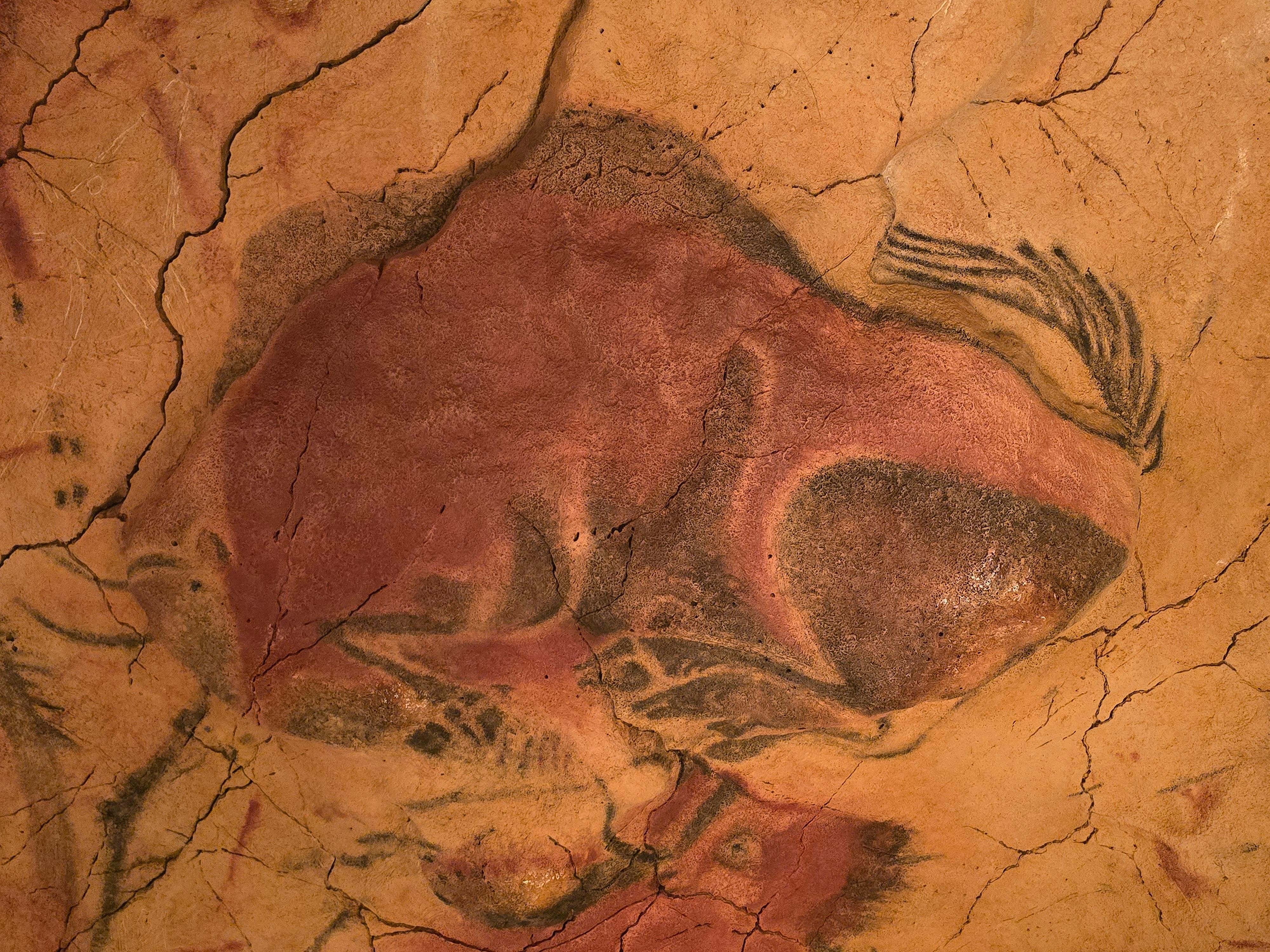 Private Altamira Museum & Neocueva Tour