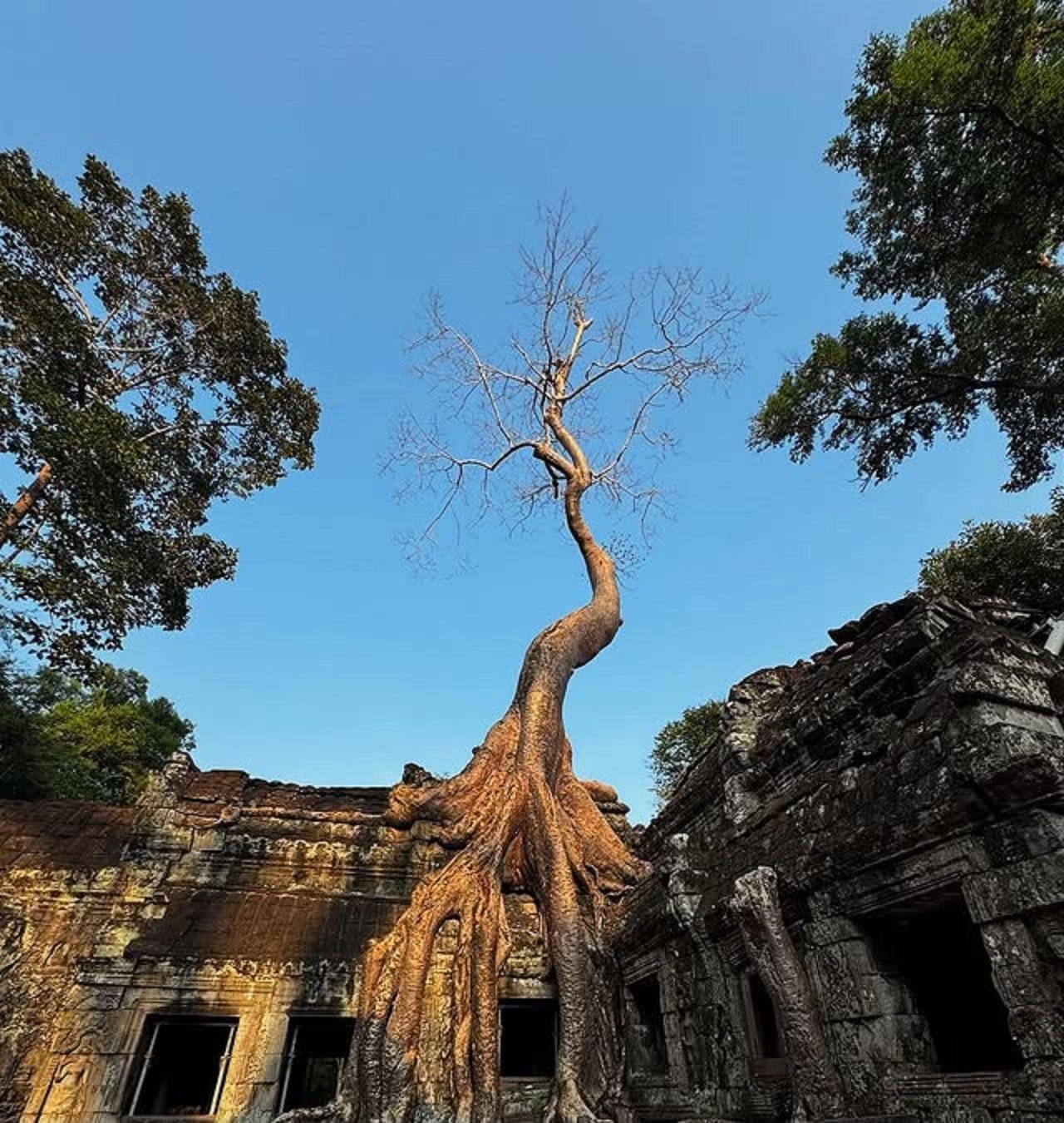 Siem Reap: Exclusive Private Angkor Wat Tour (Sunrise or Sunset)