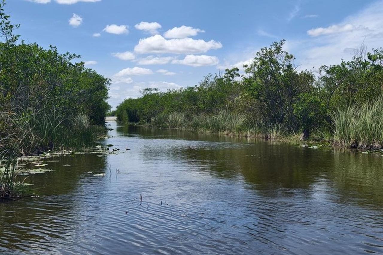 Everglades Small-Group Expedition: Airboat & Gator Show from Miami