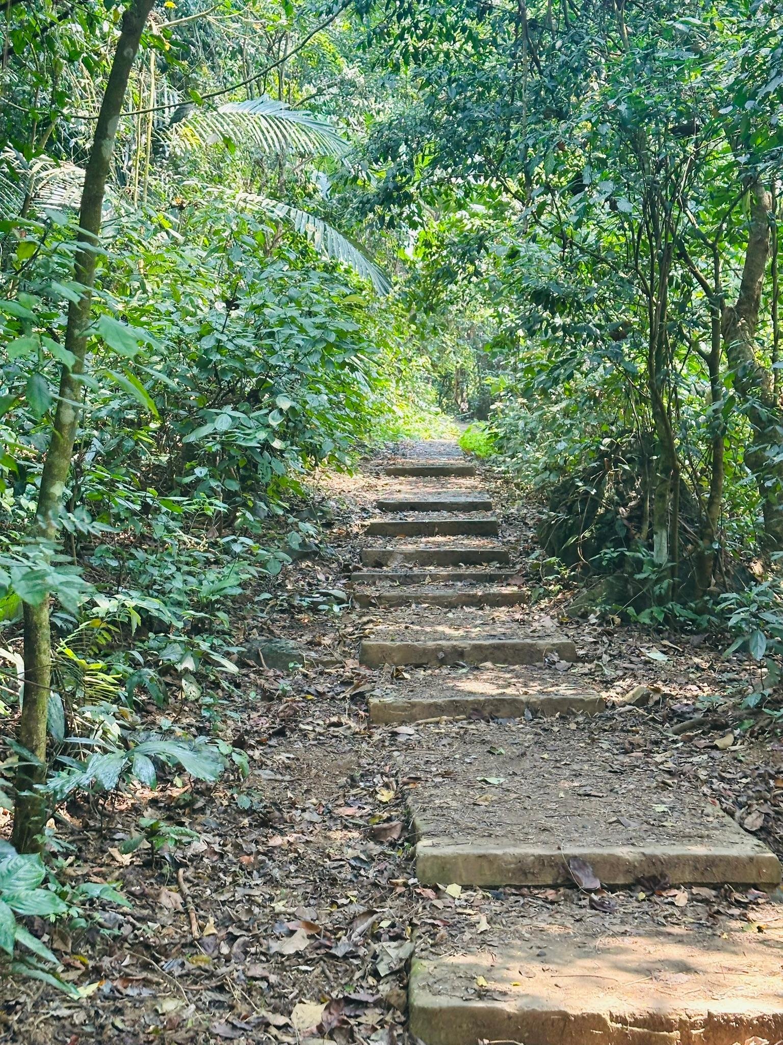Cuc Phuong National Park Day Trek & Bear Sanctuary from Ninh Binh