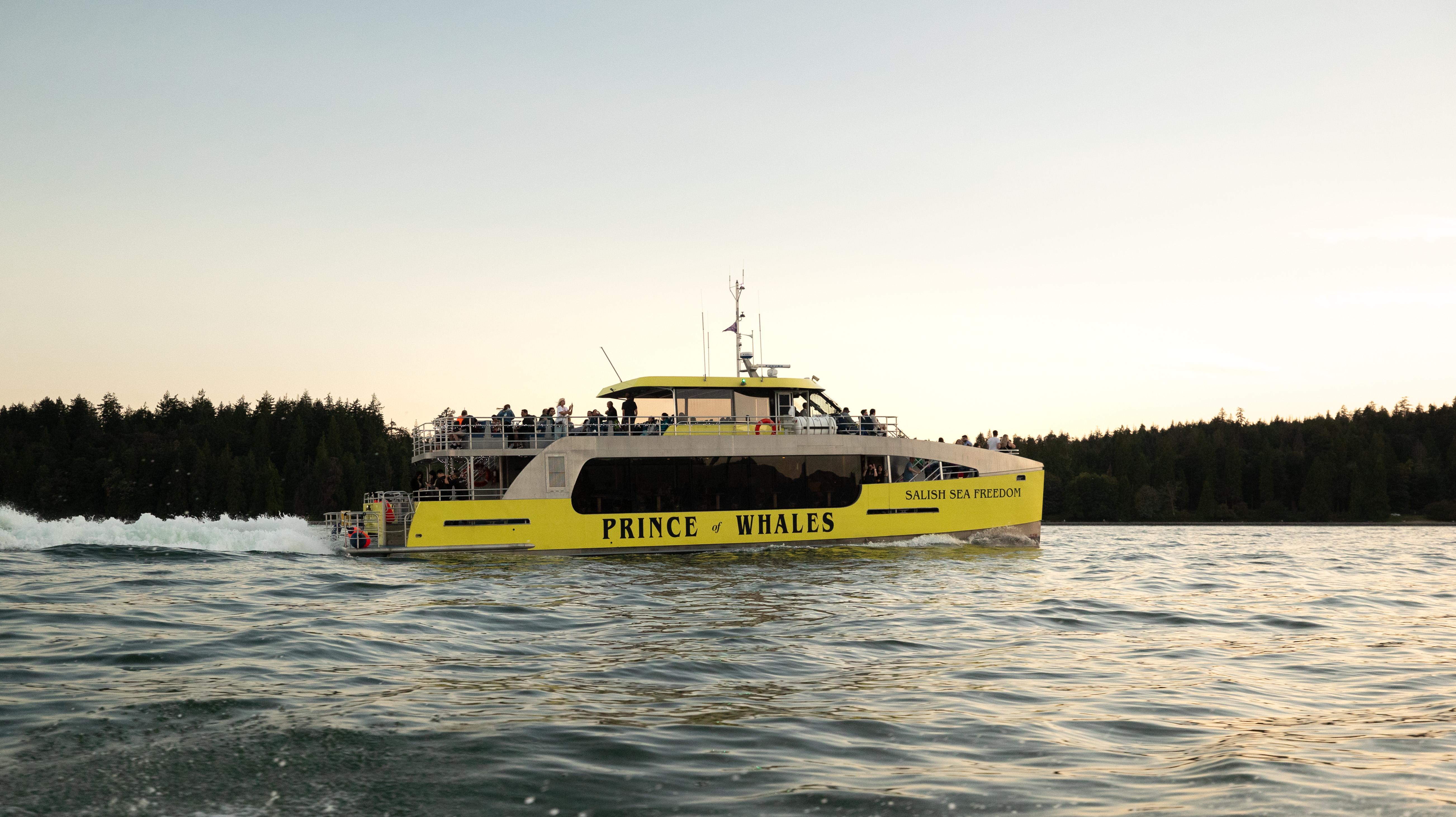 Vancouver whale watching tour — orcas and marine wildlife in the Salish Sea — image 2