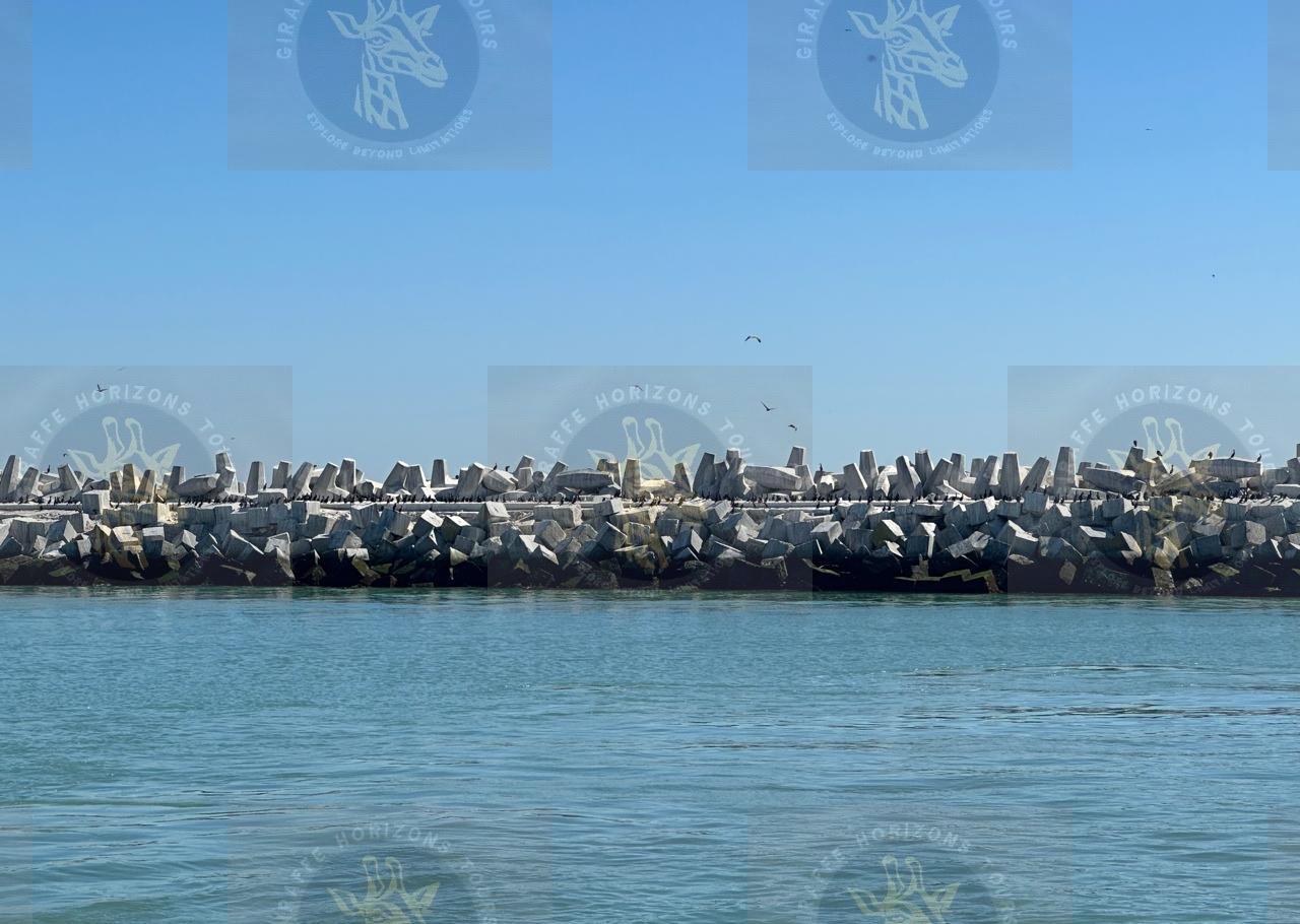 Robben Island Ferry, Prison & Guided Tour from Cape Town