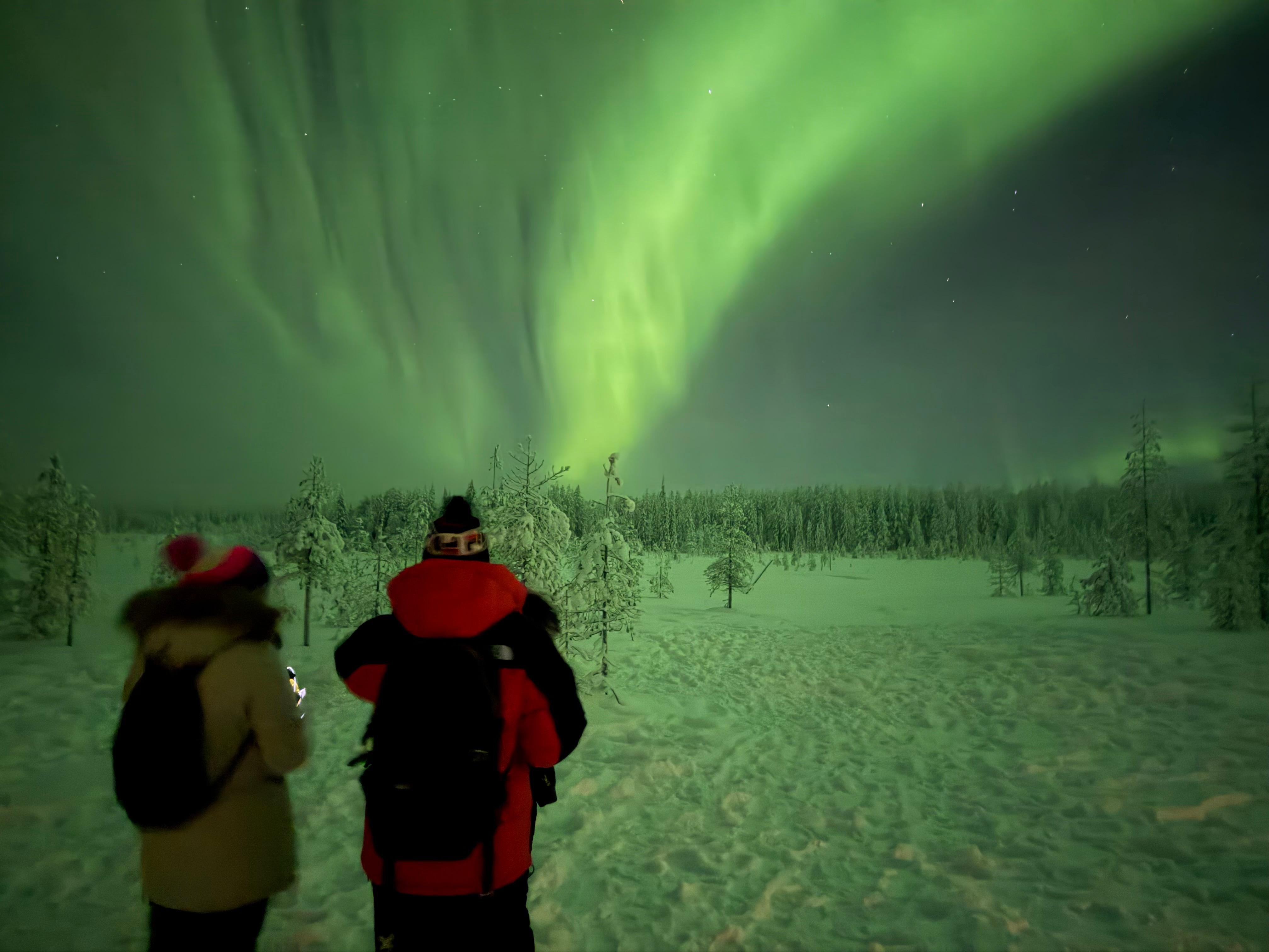 Rovaniemi Private Northern Lights Road Trip