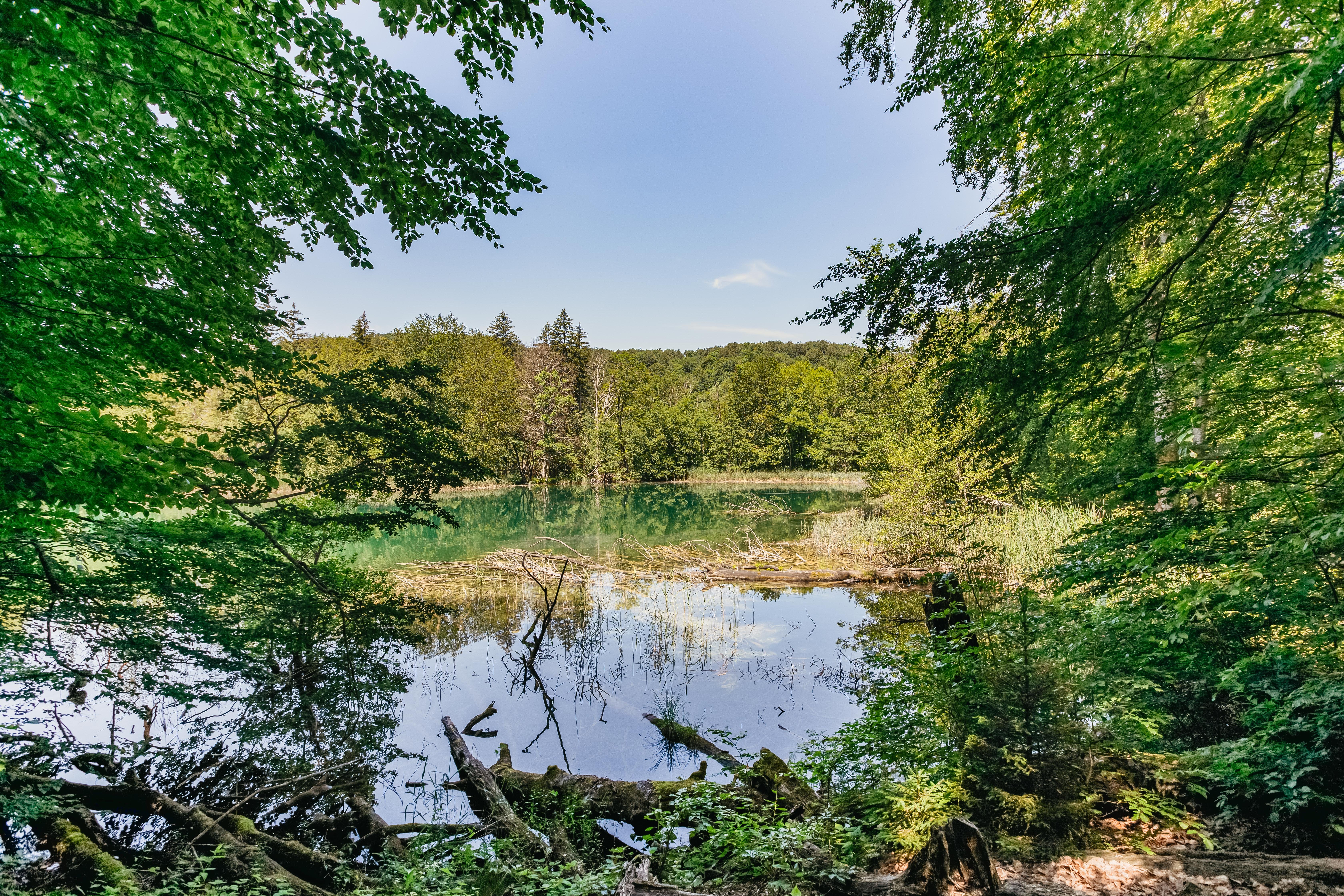 Split to Plitvice Lakes National Park Guided Day Trip