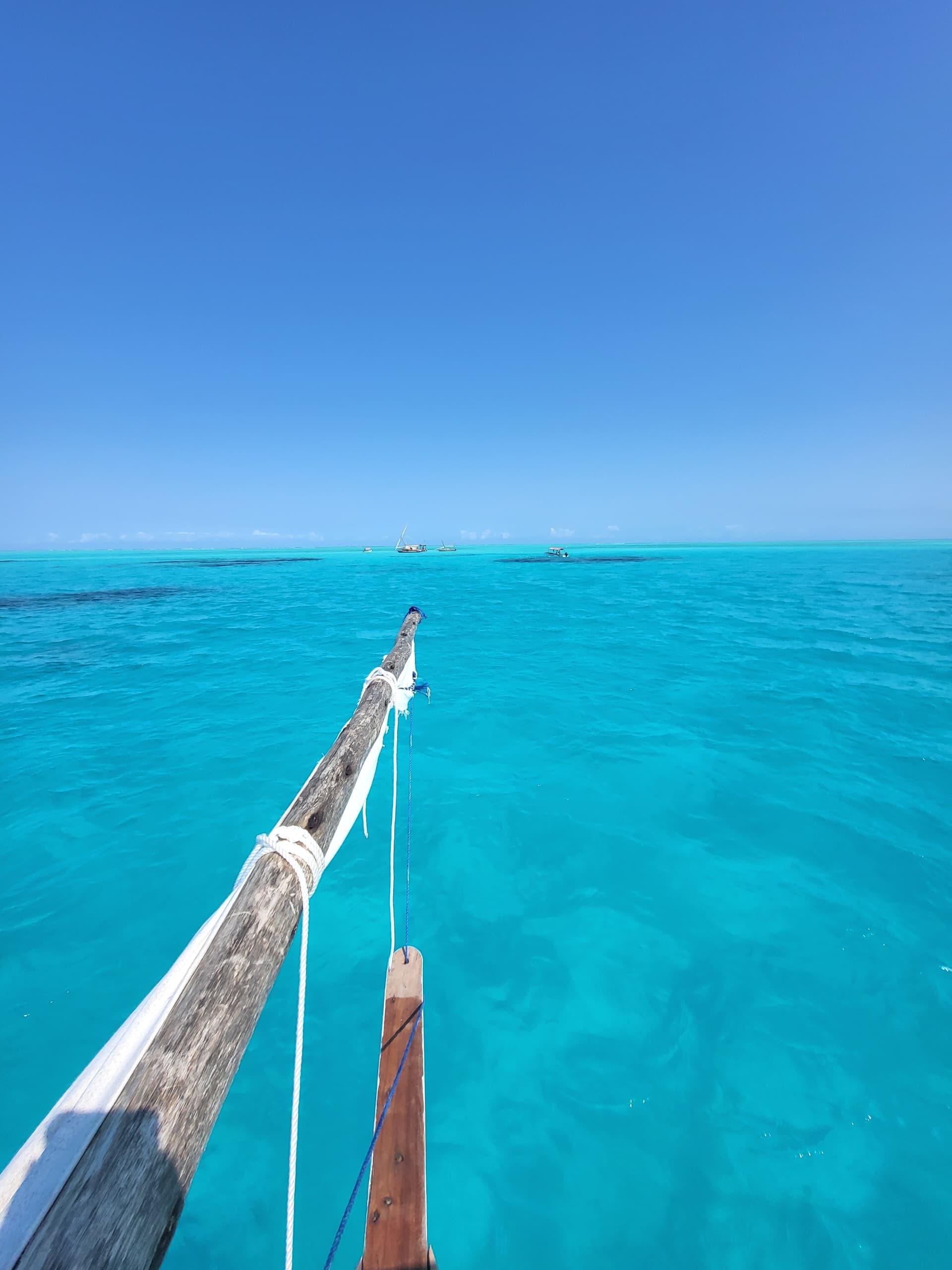 Mnemba Island Dolphin & Snorkel Boat Trip from Matemwe