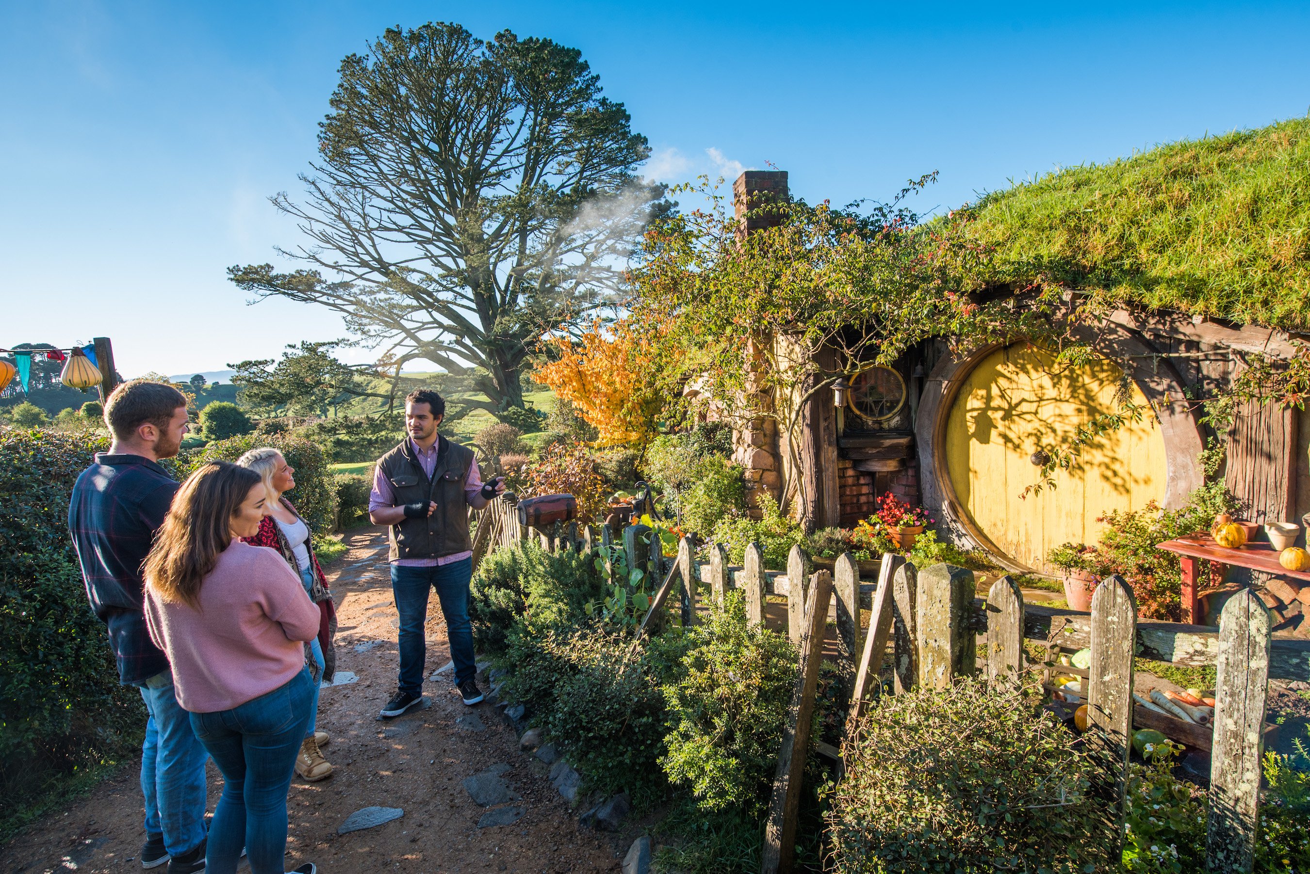 Rotorua: One-Way Trip to Auckland via Hobbiton & Waitomo