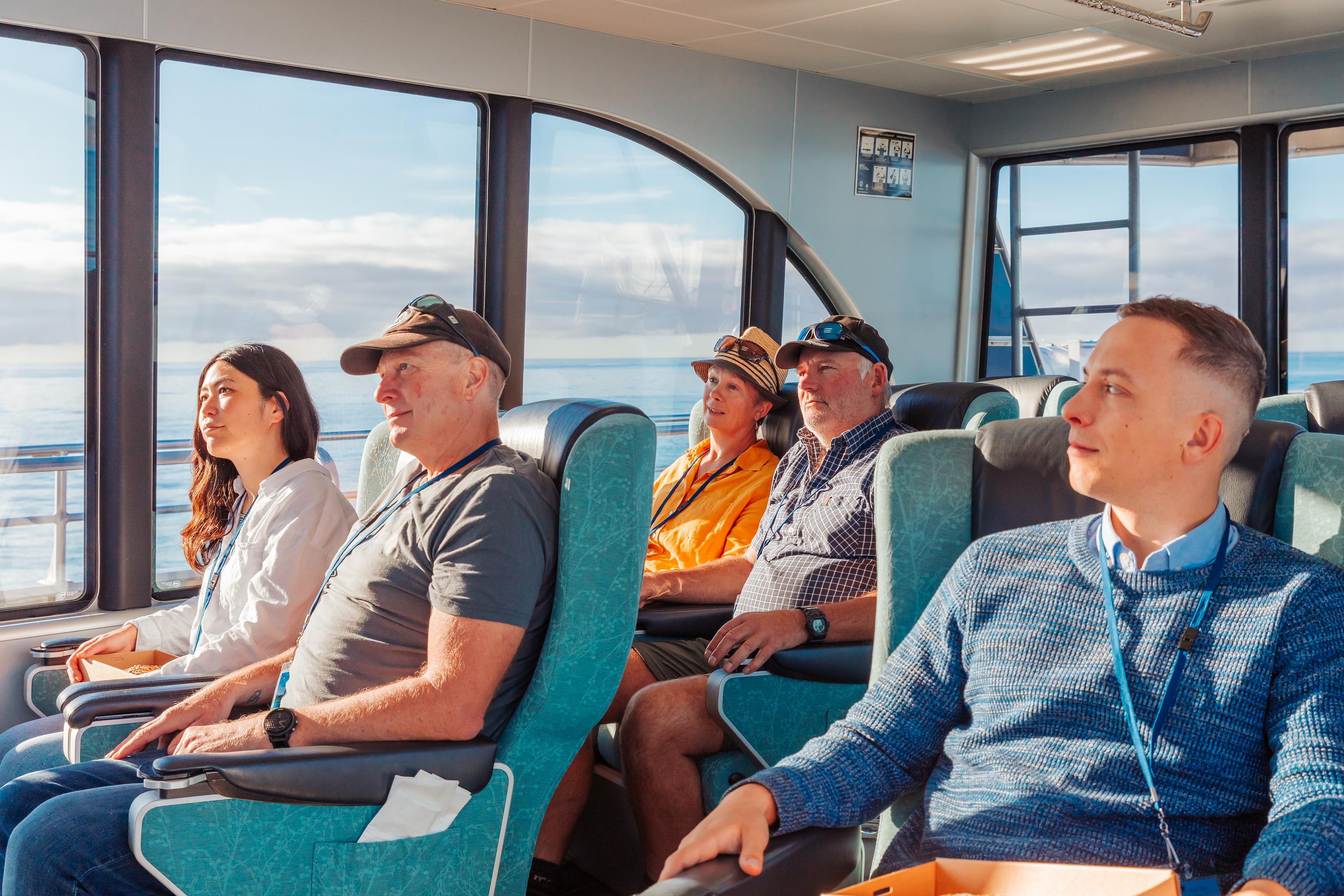 South Island guided tour photo — image 5
