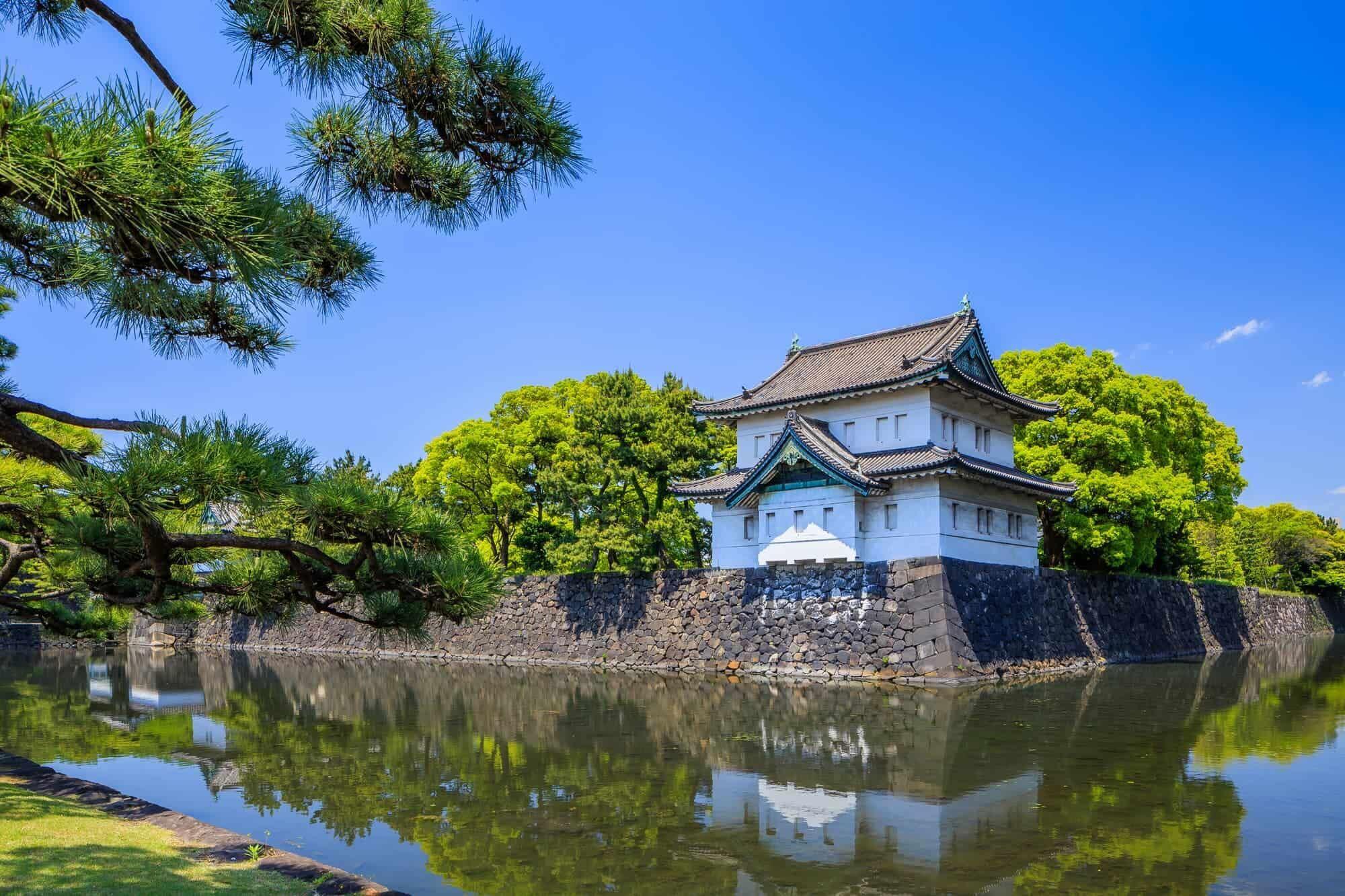 Tokyo: Imperial Palace Walking Tour with Local Guide - 2026 (Verified Reviews)