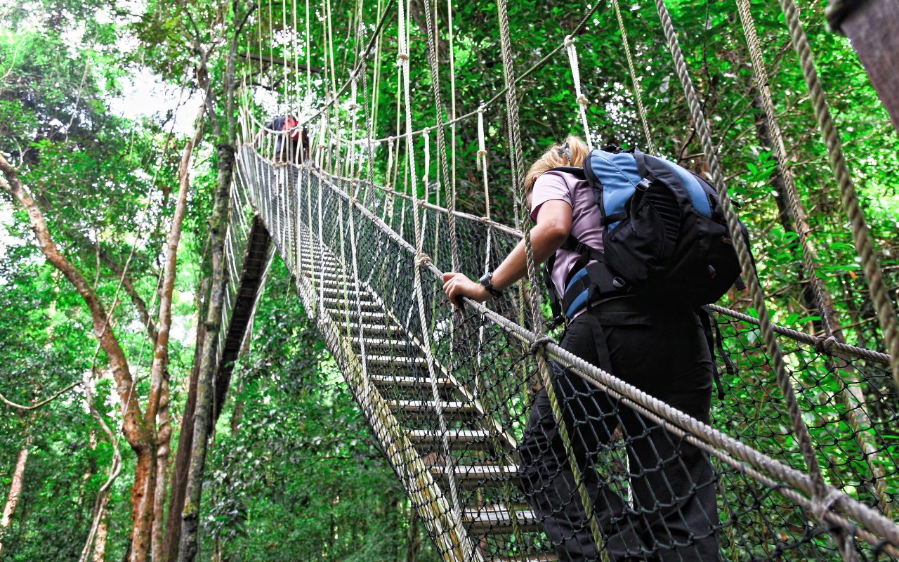 Taman Negara Rainforest Trek with River Cruise & Indigenous Village
