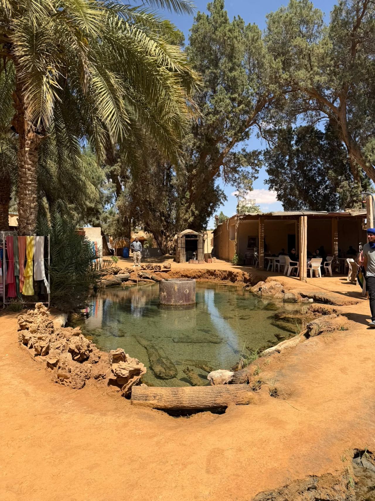 Two-Day Desert Adventure: Berber Villages, Oasis & Dunes