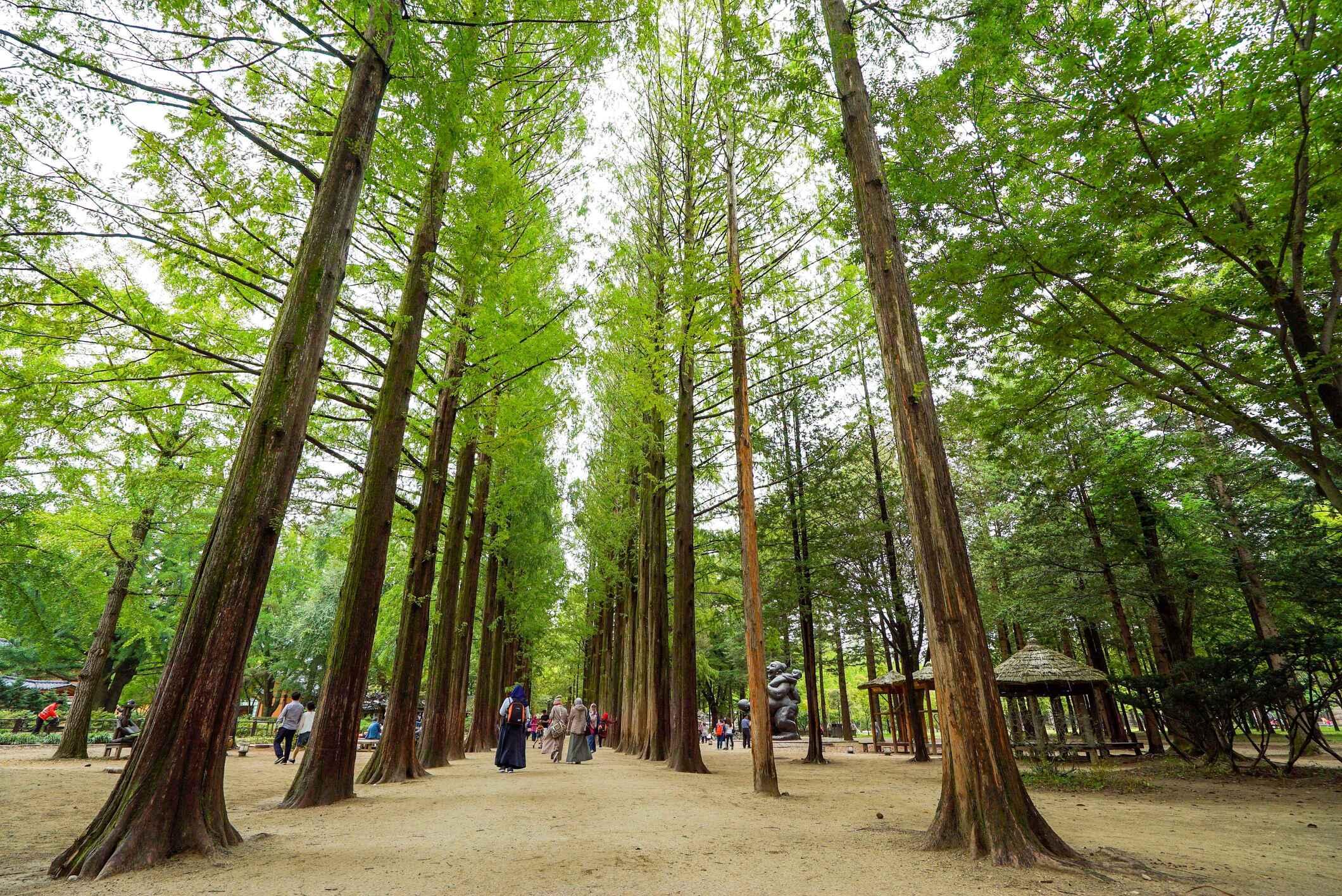 Seoul Private Custom Tour: Half-Day, Full-Day & Outskirts Options