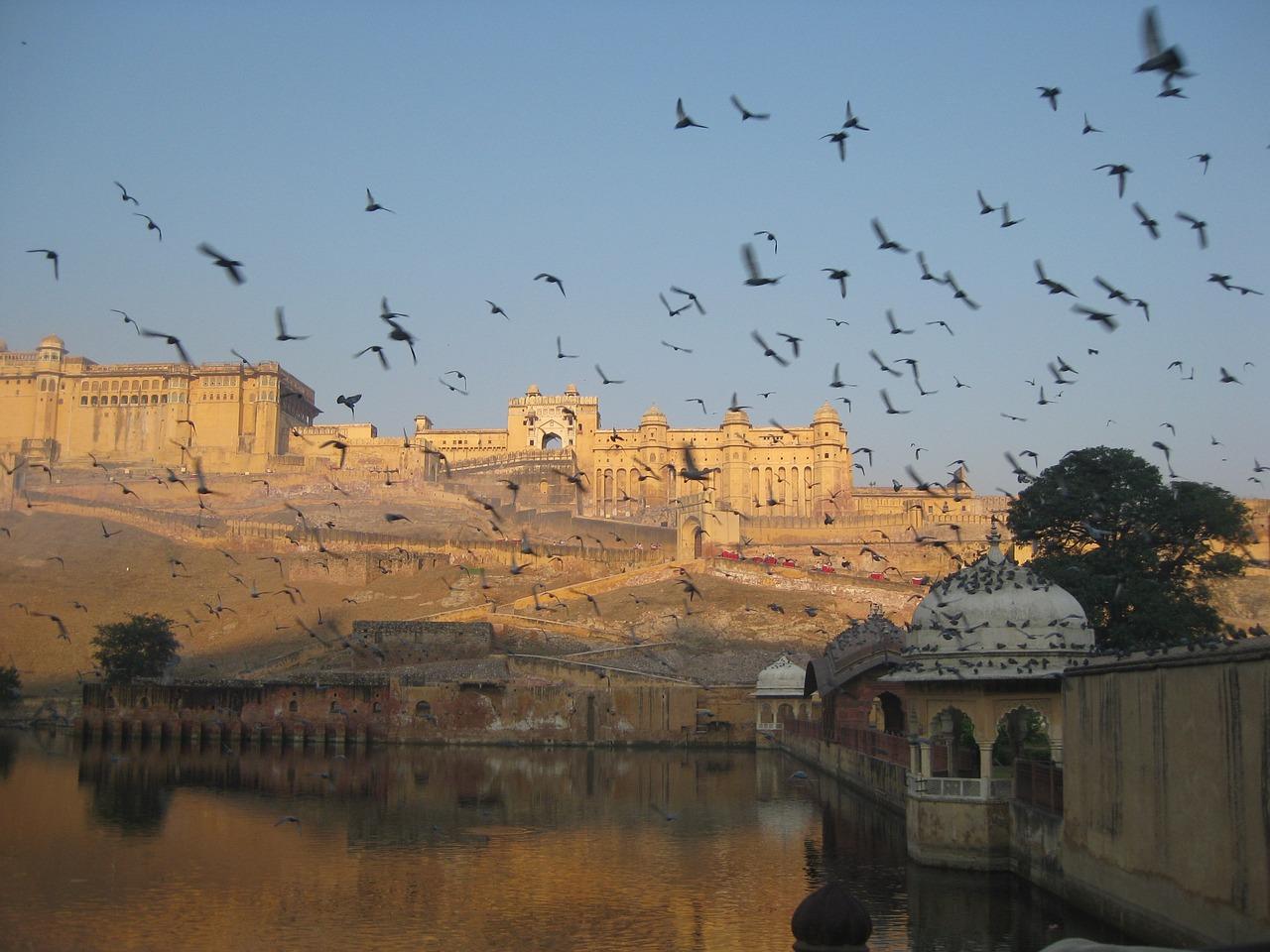 Private Delhi to Jaipur Day Tour: Amber Fort, City Palace & More