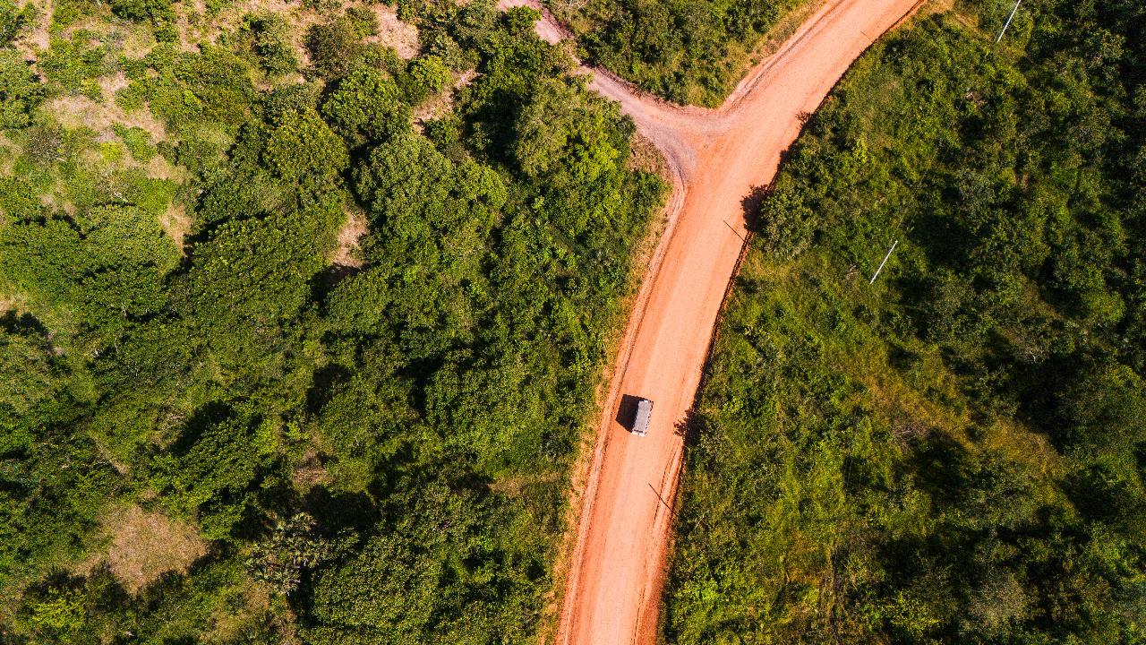 Zanzibar to Selous: 2-Day Safari with Flights & Bush Lunch