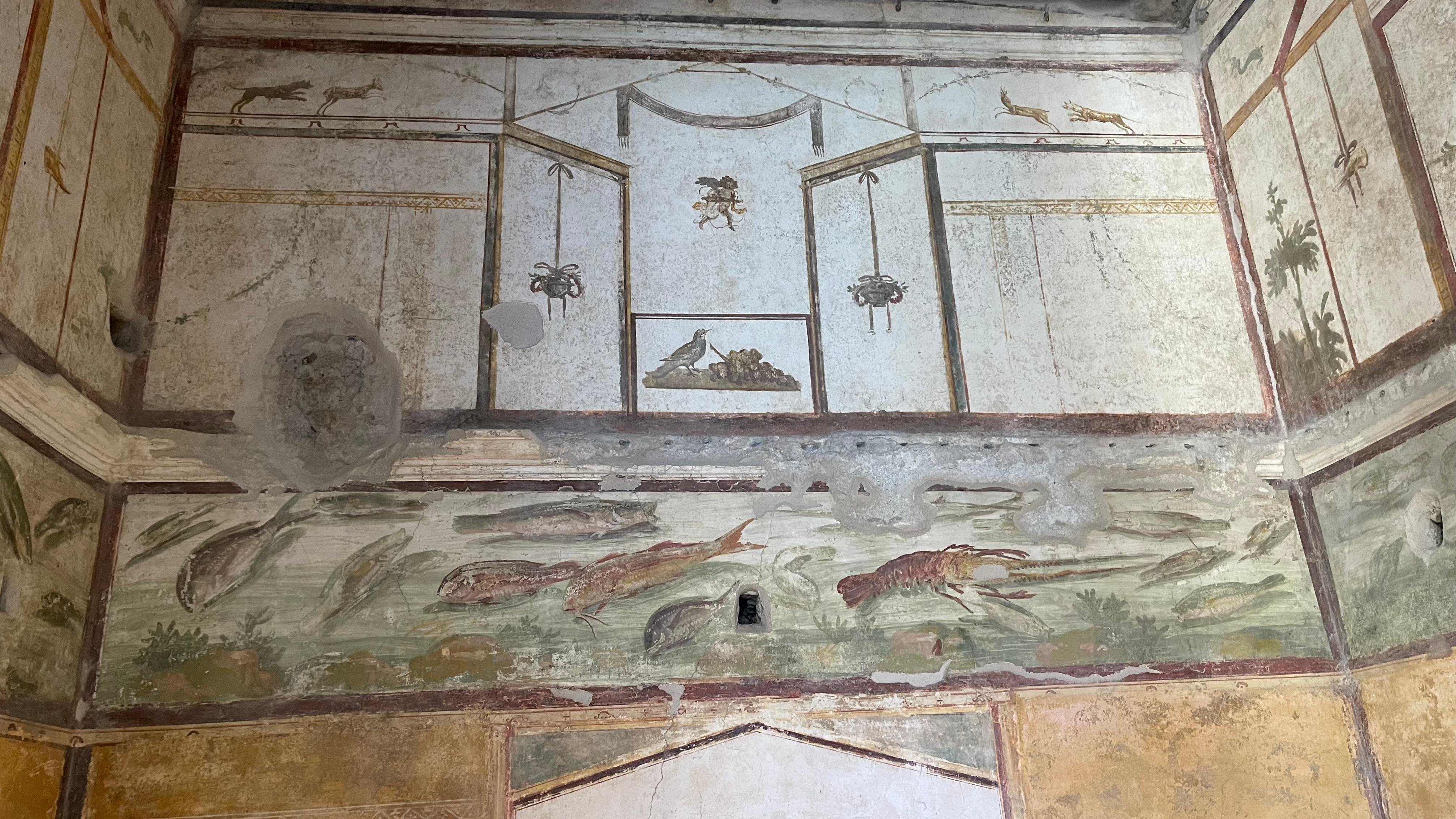 Pompeii Guided Tour from Positano with Skip-the-Line Entry