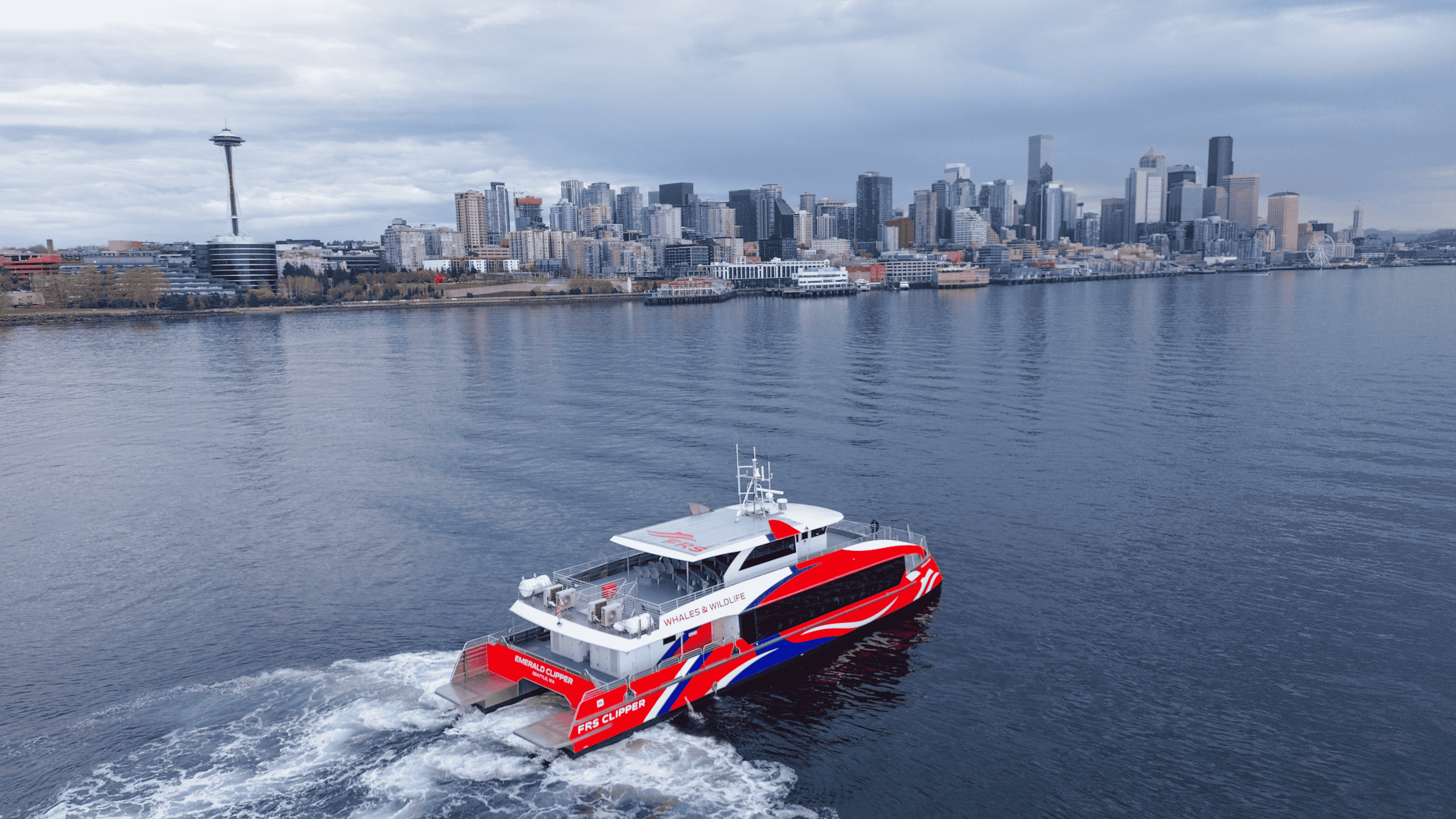 Seattle: Indigenous-Led Whale Watching Tour with Tea Tasting