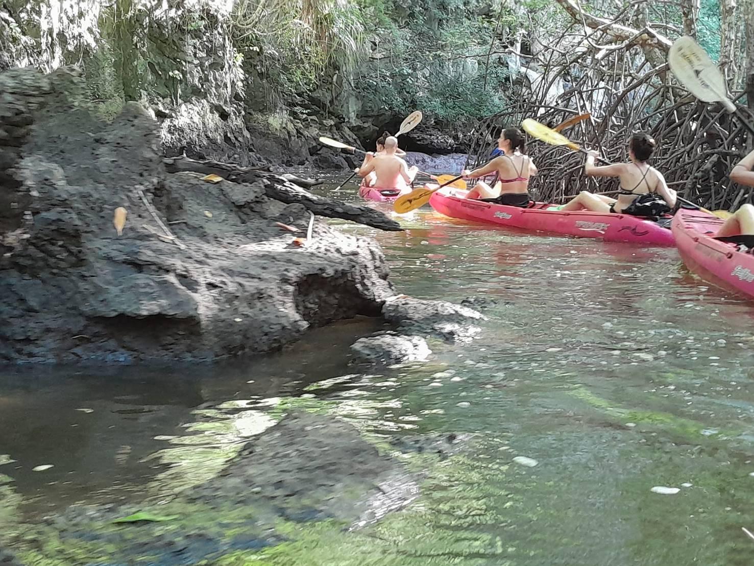 Krabi Ao Thalane Half-Day Mangrove Kayak Tour