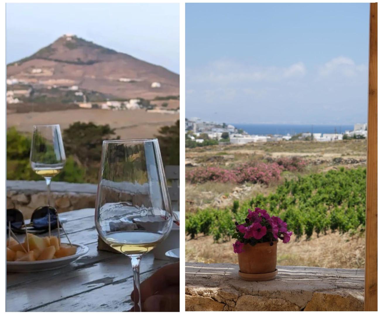 Wine Tasting at Myrsini Winery