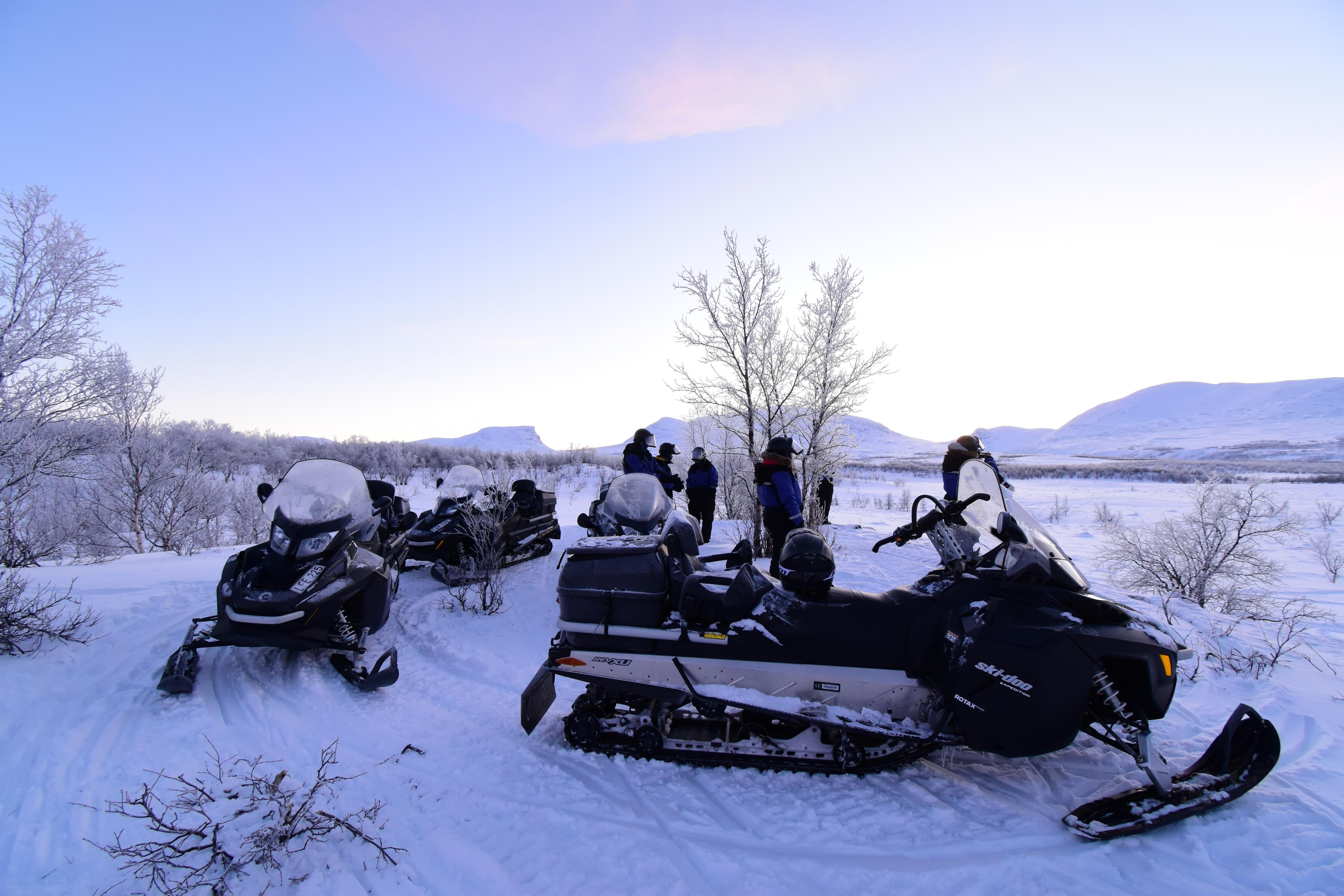 Abisko Valley Snowmobile Adventure