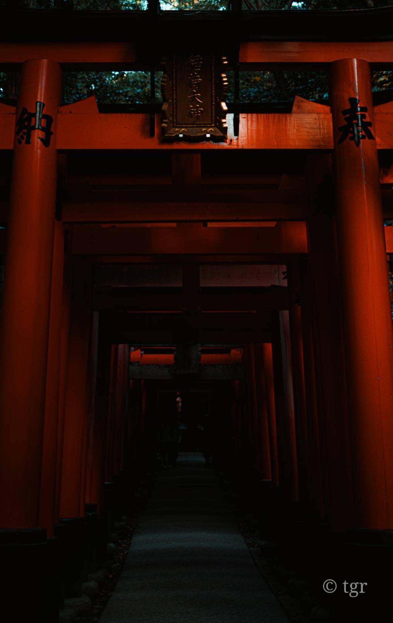 京都 伏見稲荷 夜のウォーキングツアー（ガイド付き）