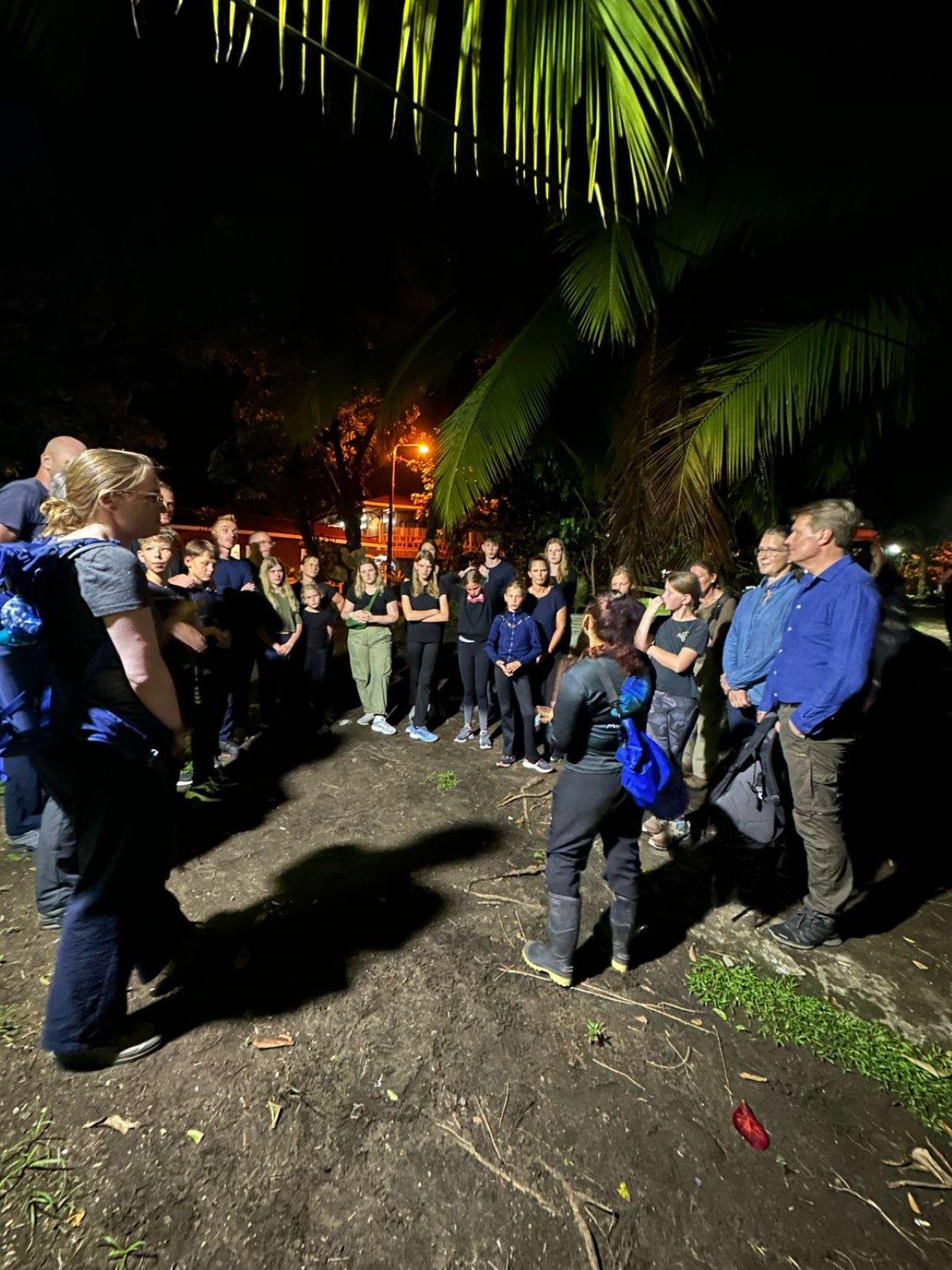 Tortuguero Night Turtle Nesting Beach Tour