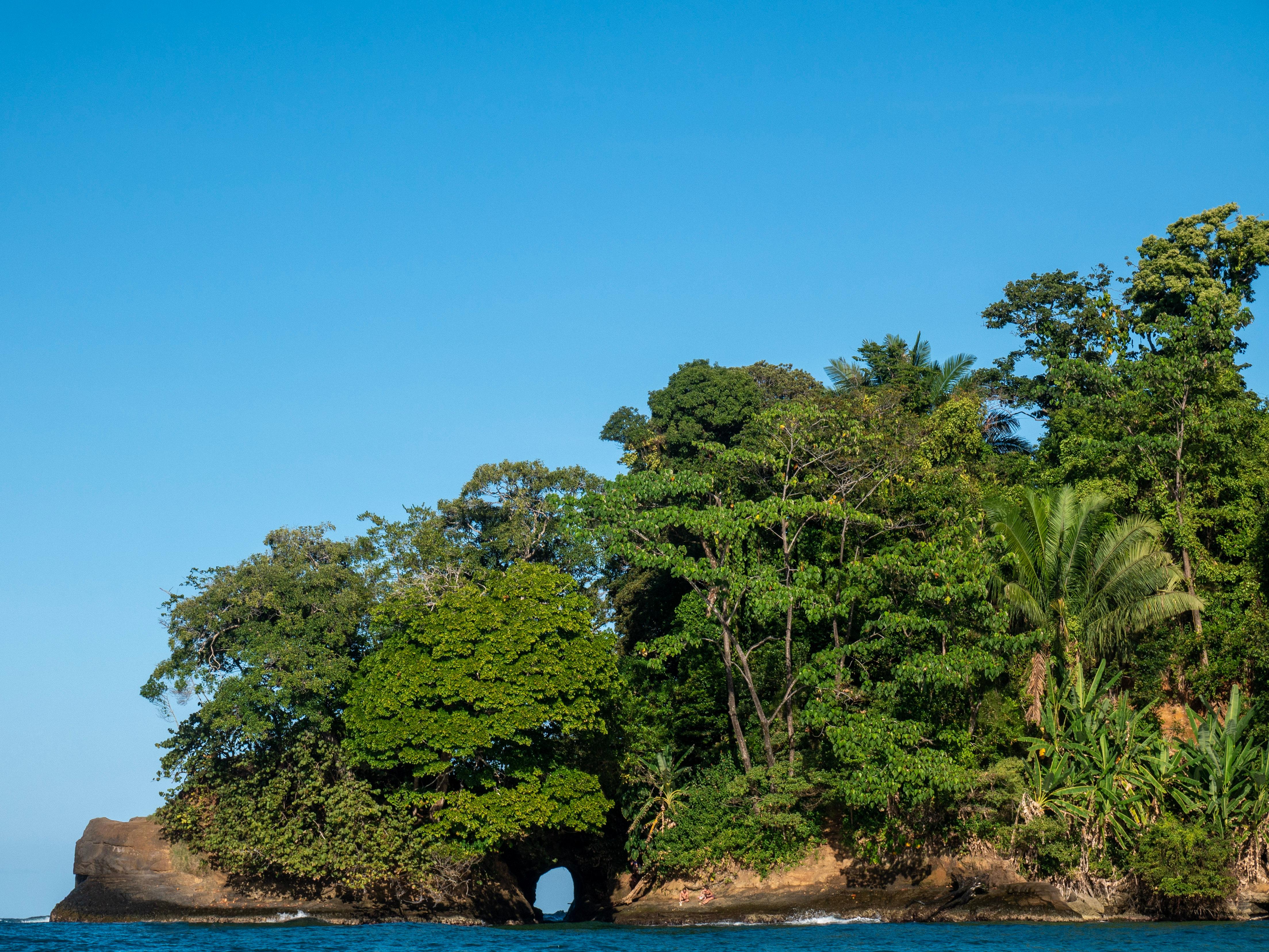Punta Uva Wildlife Kayaking & Jungle Trail Tour