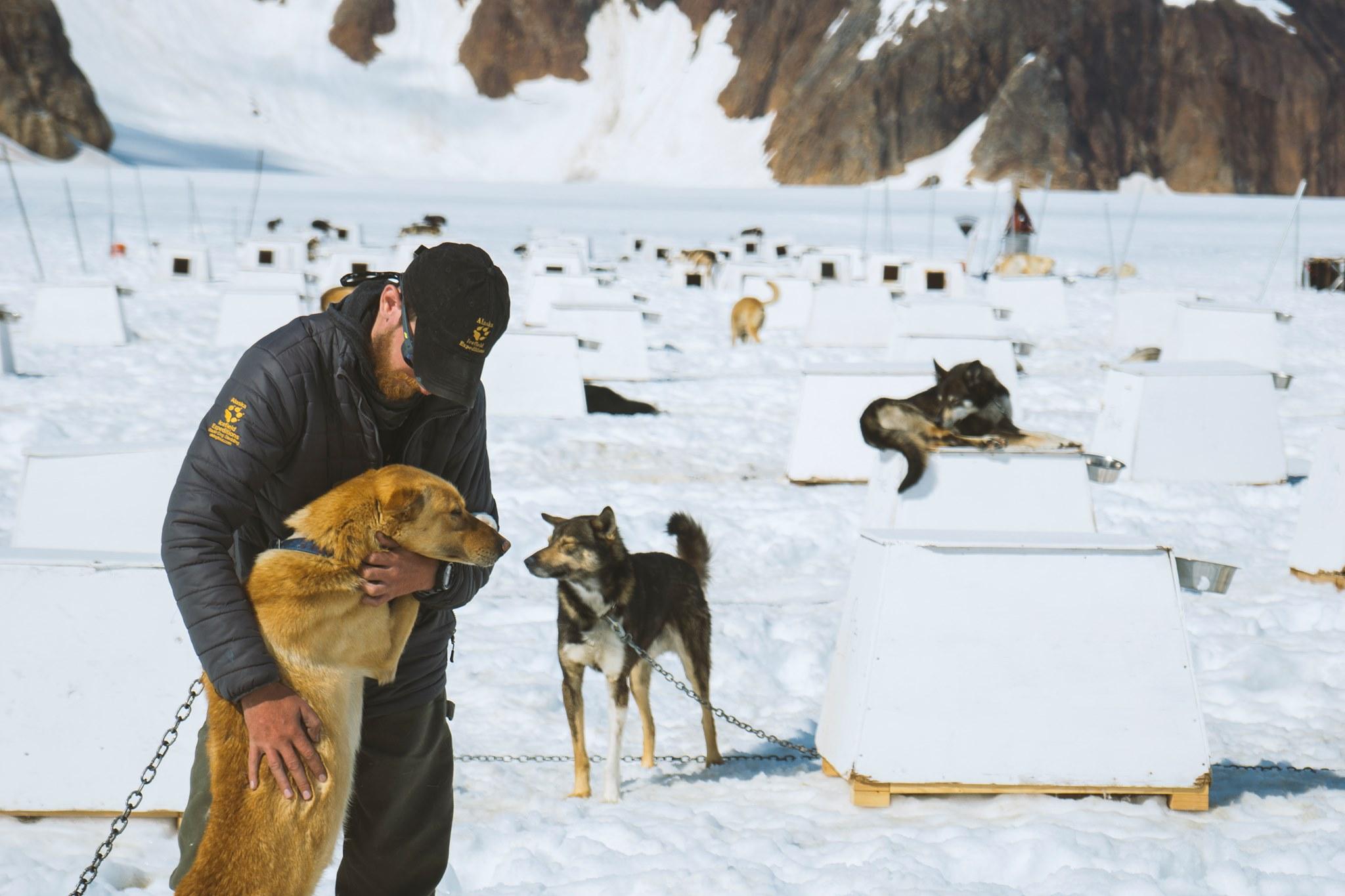 dog sledding in Juneau — photo 4