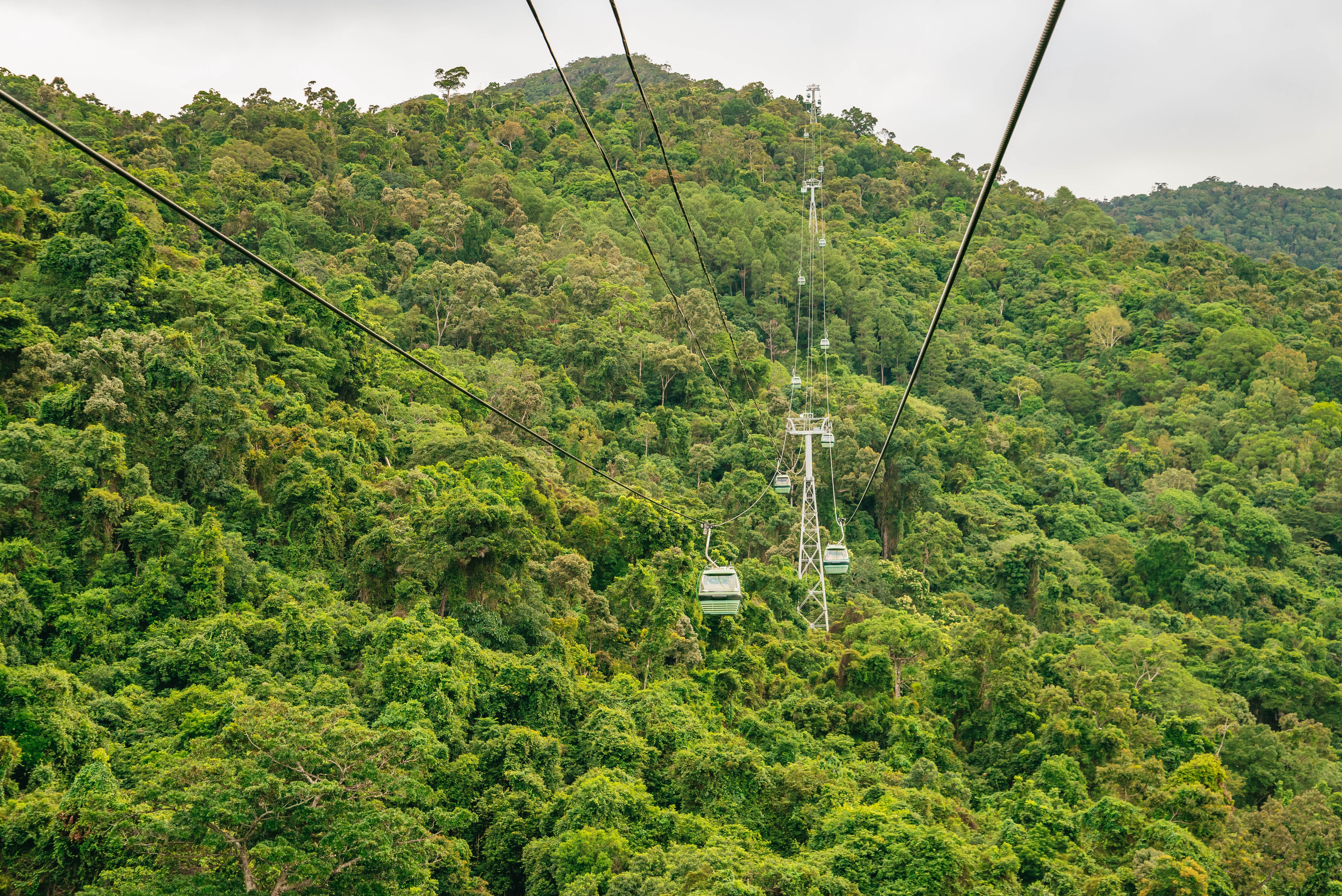 Kuranda Rainforest Full-Day Experience from Cairns
