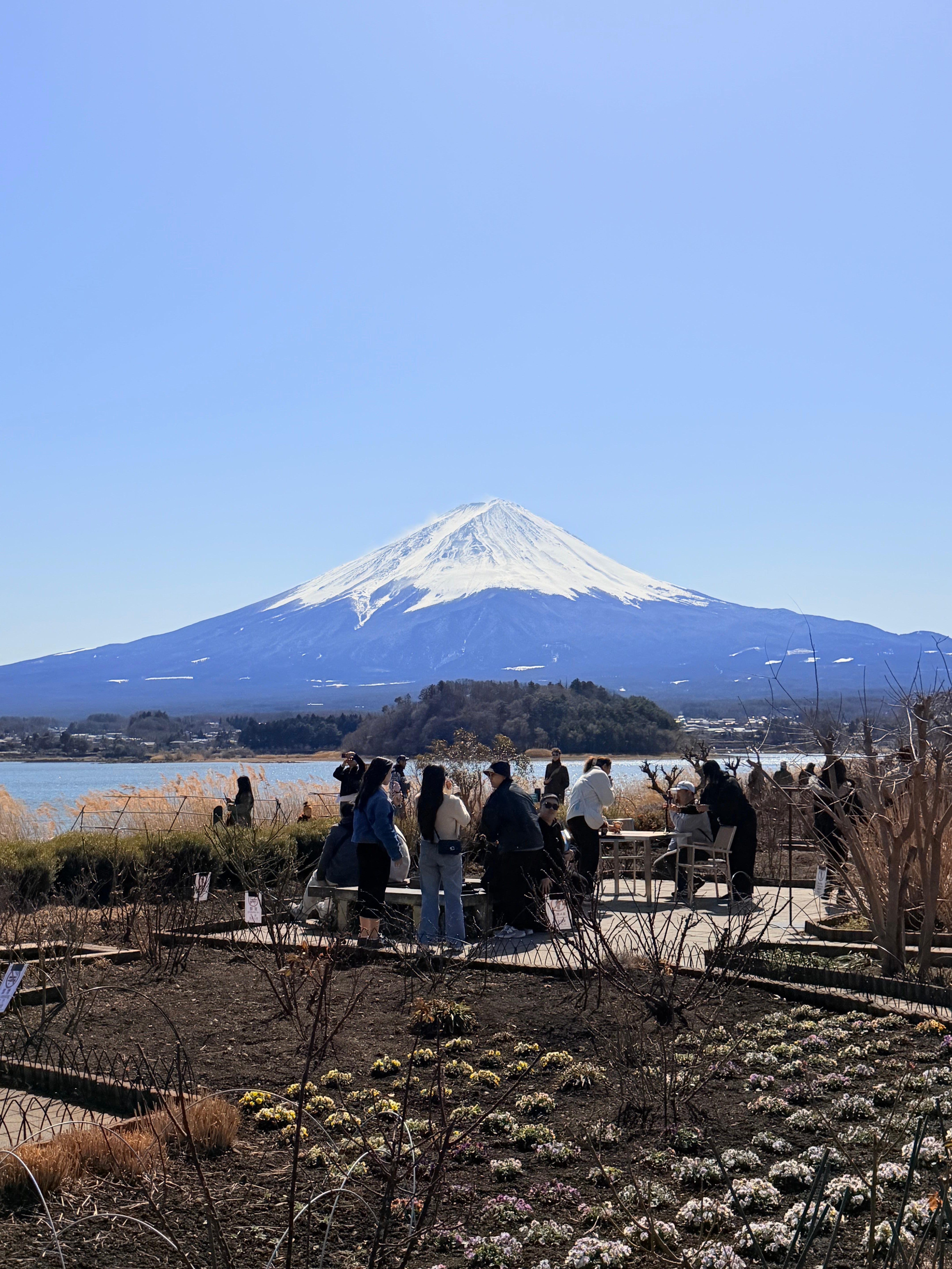 Tokyo to Mt. Fuji & Hakone: Private Full-Day Tour with English Driver