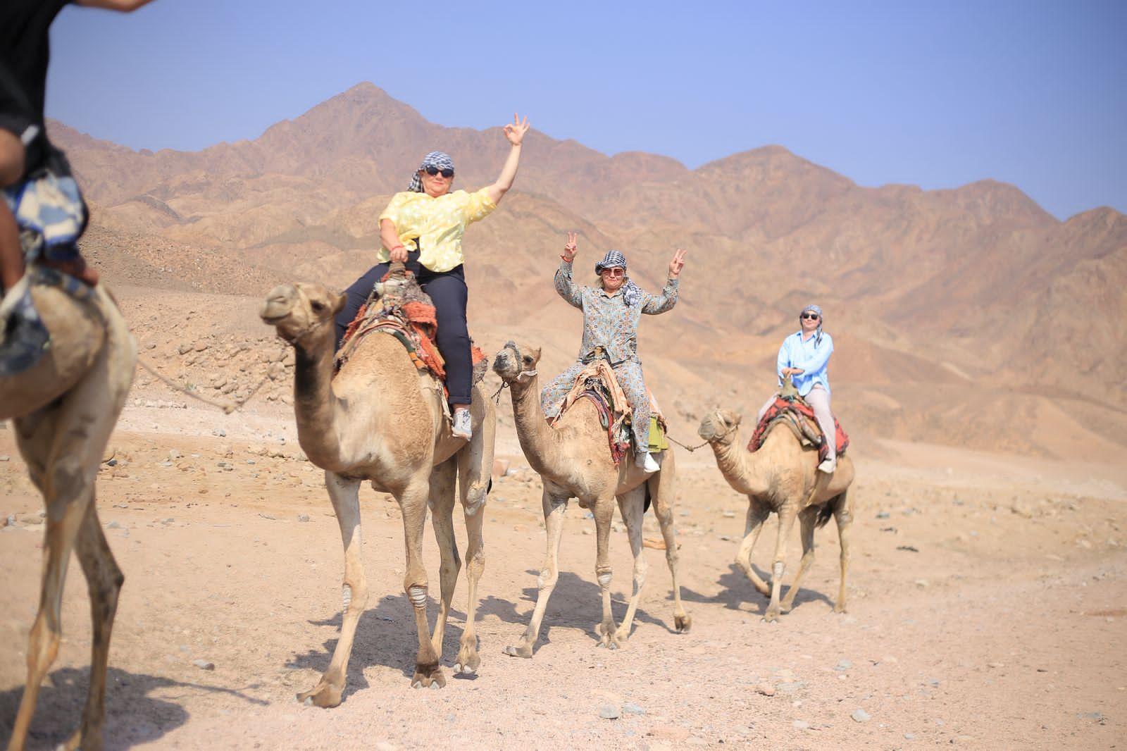 Sinai Desert & Dahab Full-Day Adventure from Sharm El Sheikh