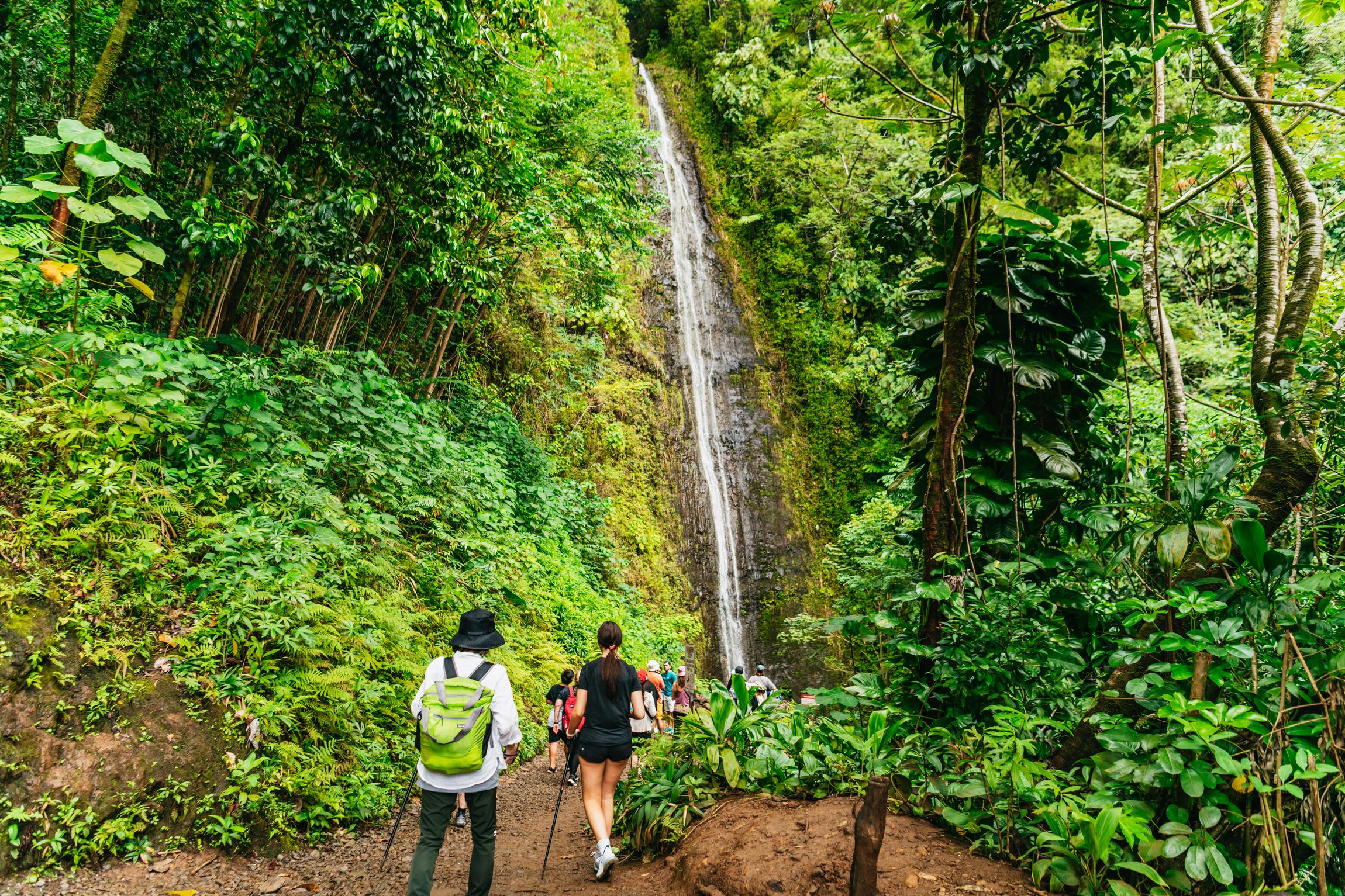 Trilha pela Floresta Tropical de Manoa Falls com almoço no Mirante Tantalus