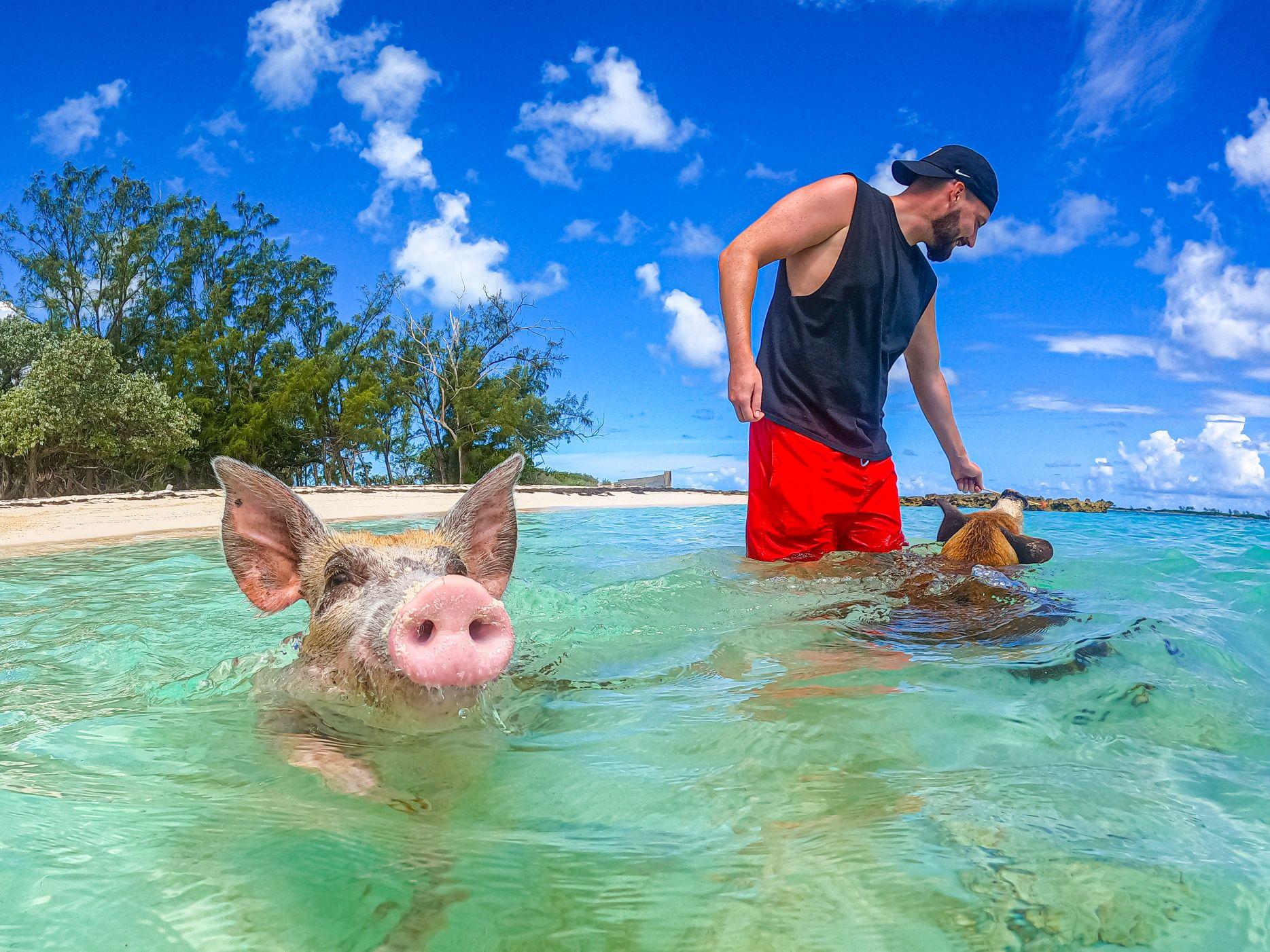 Nassau Swimming Pigs Express Boat Tour