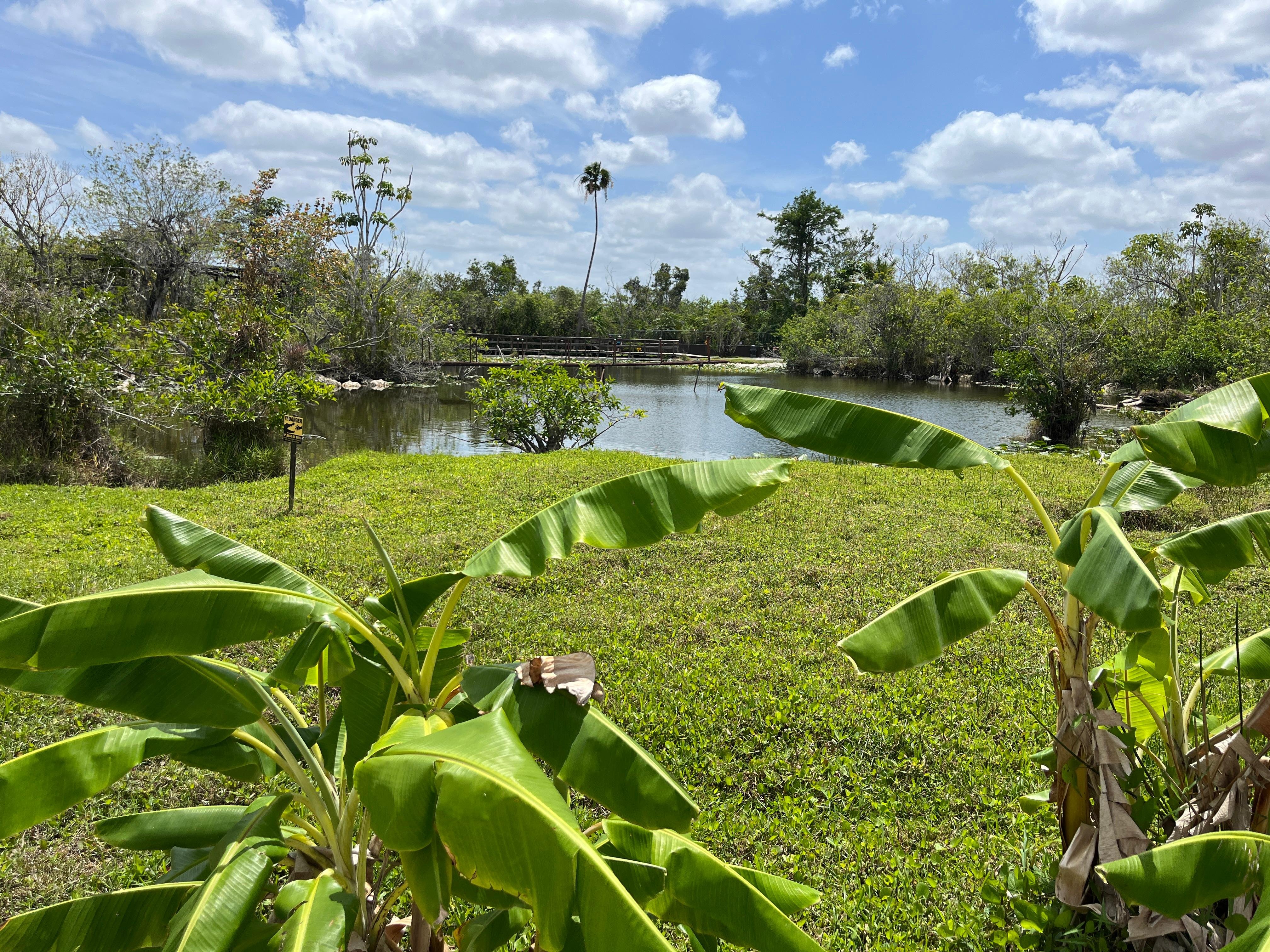 Miami: Everglades Small-Group Guided Tour in French