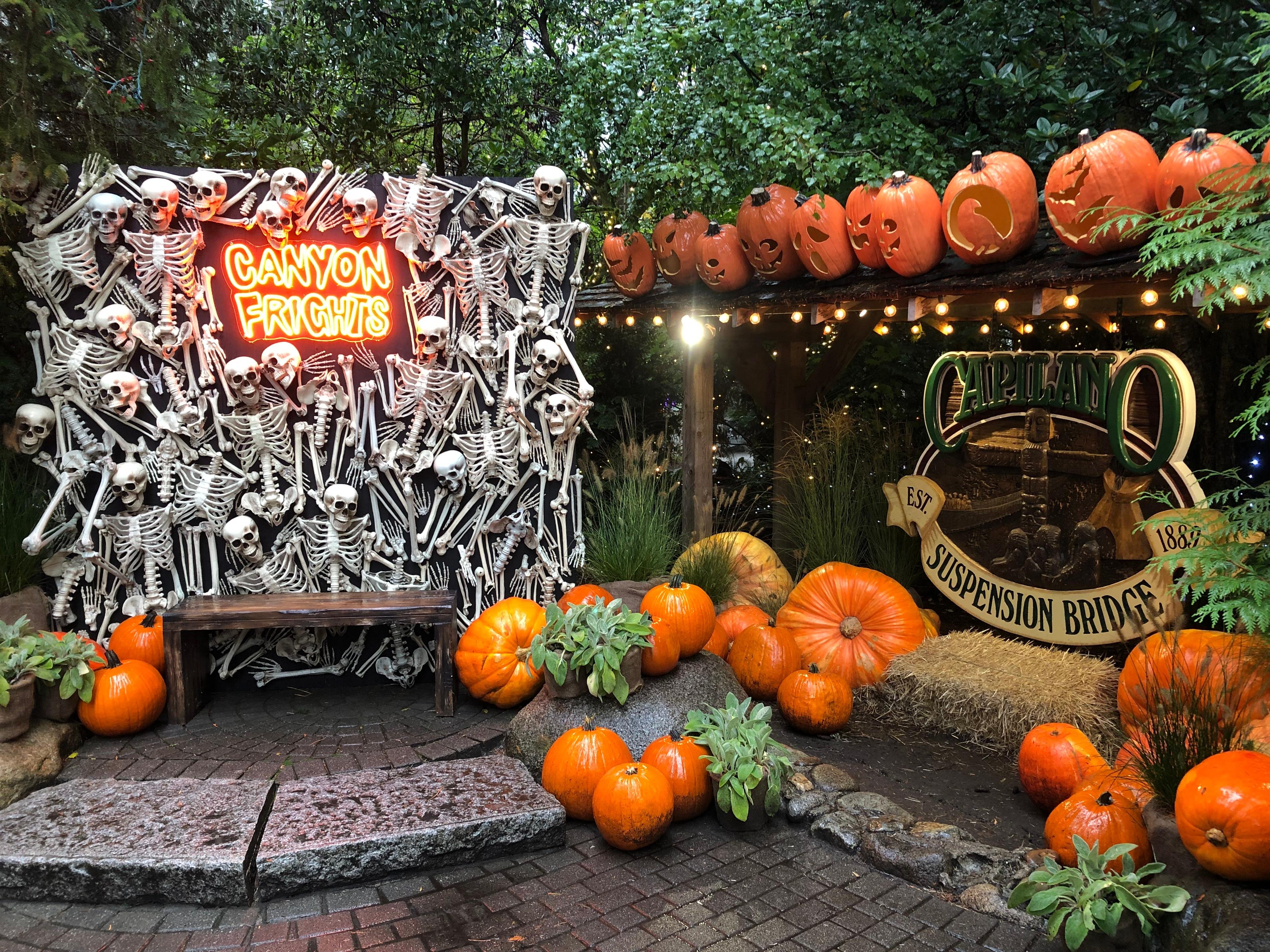Capilano Suspension Bridge & Stanley Park Small Group Tour