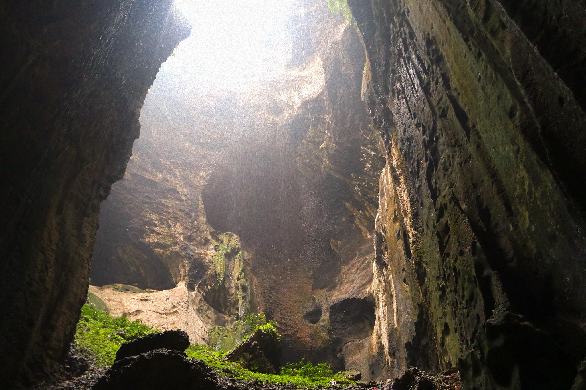 Gomantong Caves & Kinabatangan River Wildlife Safari