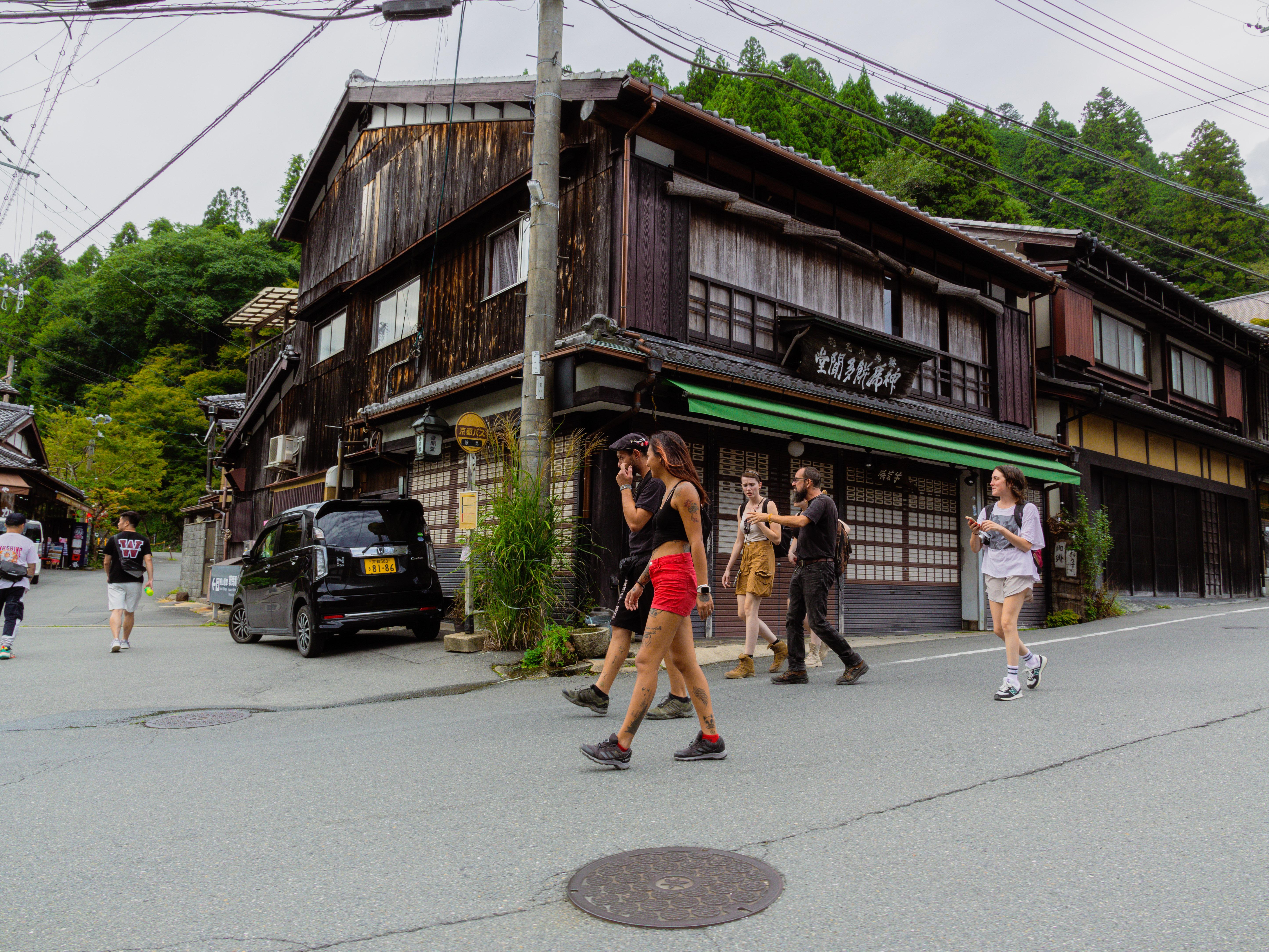 Kyoto experience — temples, geisha, bamboo grove — image 13