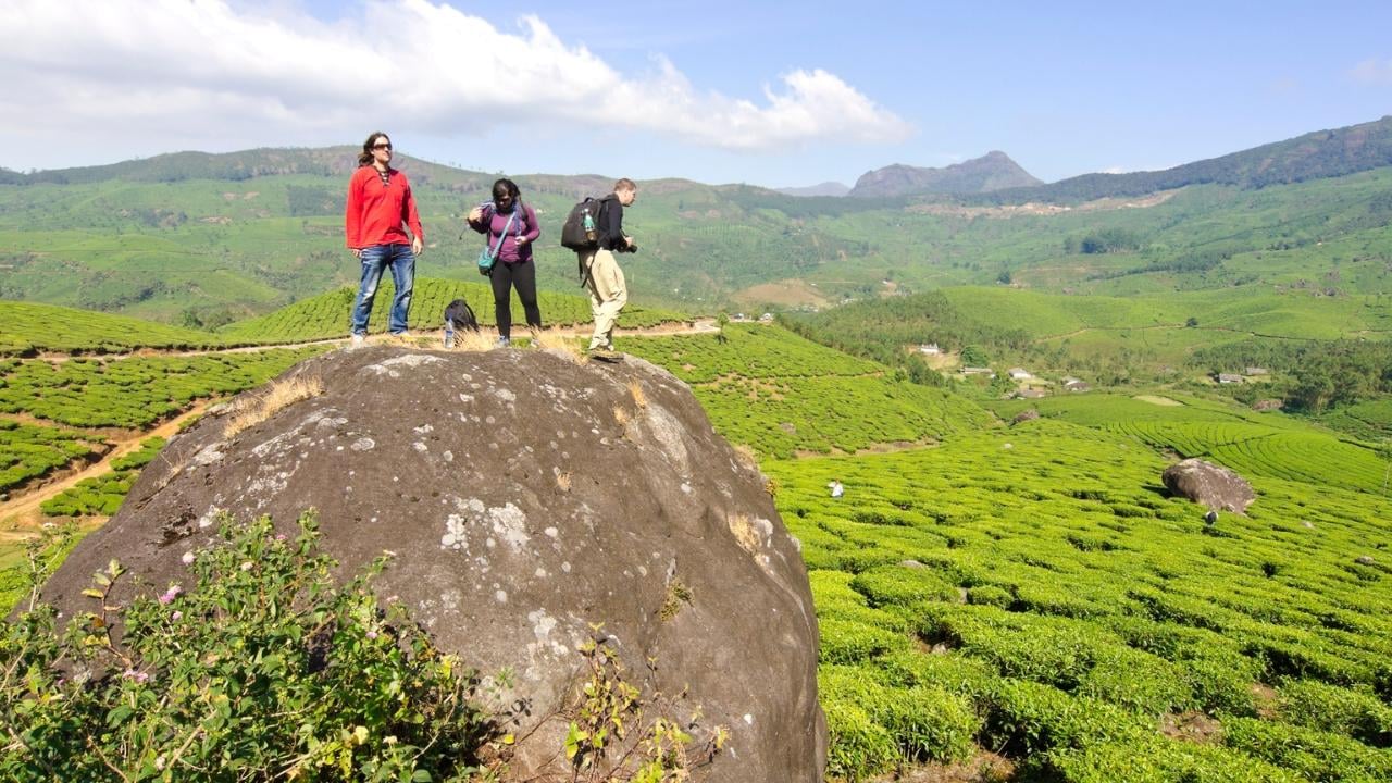 5-Day Private Kerala Escape: Munnar, Thekkady & Alleppey