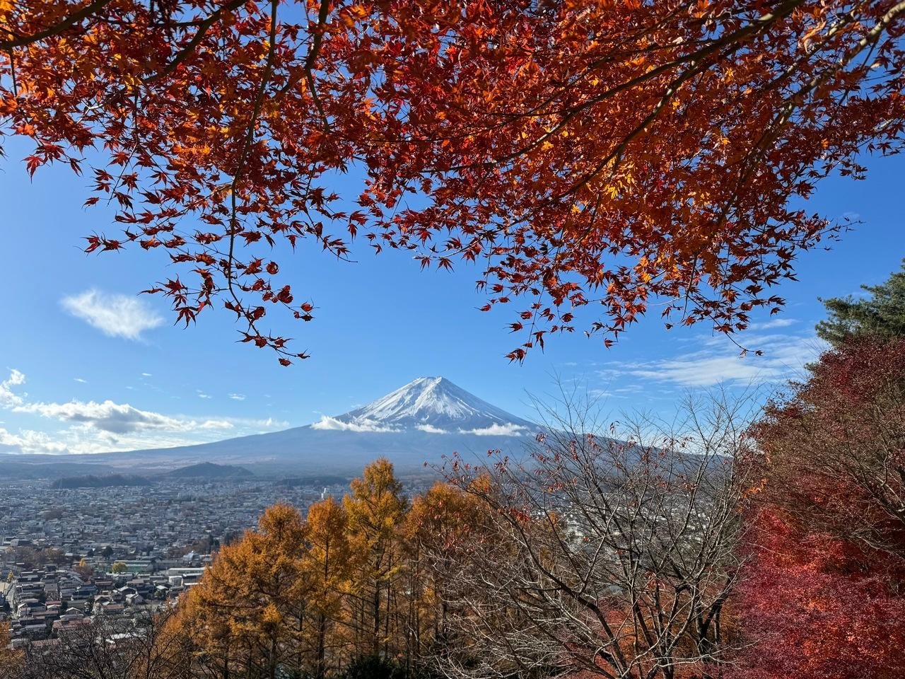 Mt. Fuji Day Tour: Scenic Stops & Lake Kawaguchi Cruise from Tokyo
